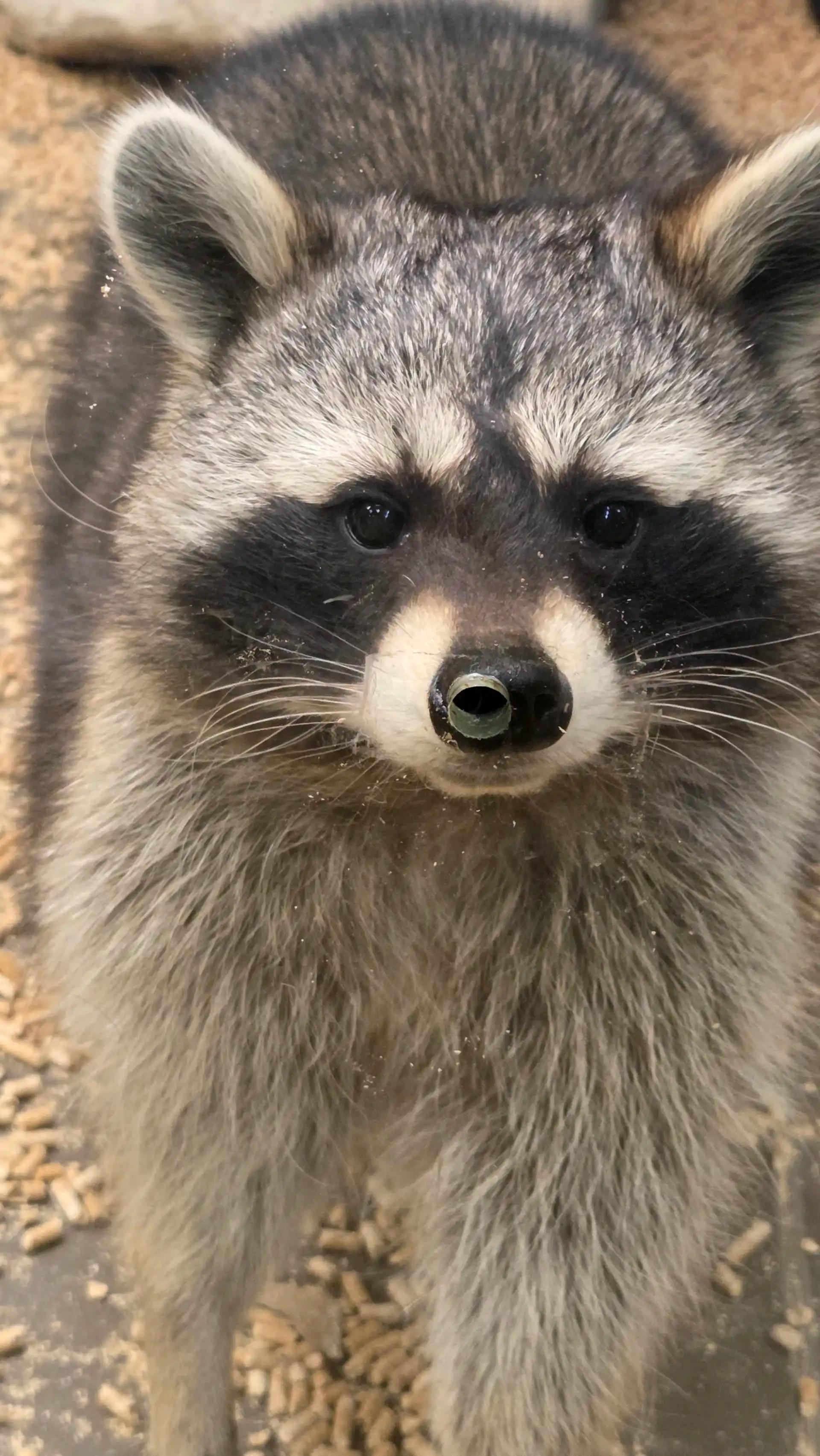 크루톡 이미지 5