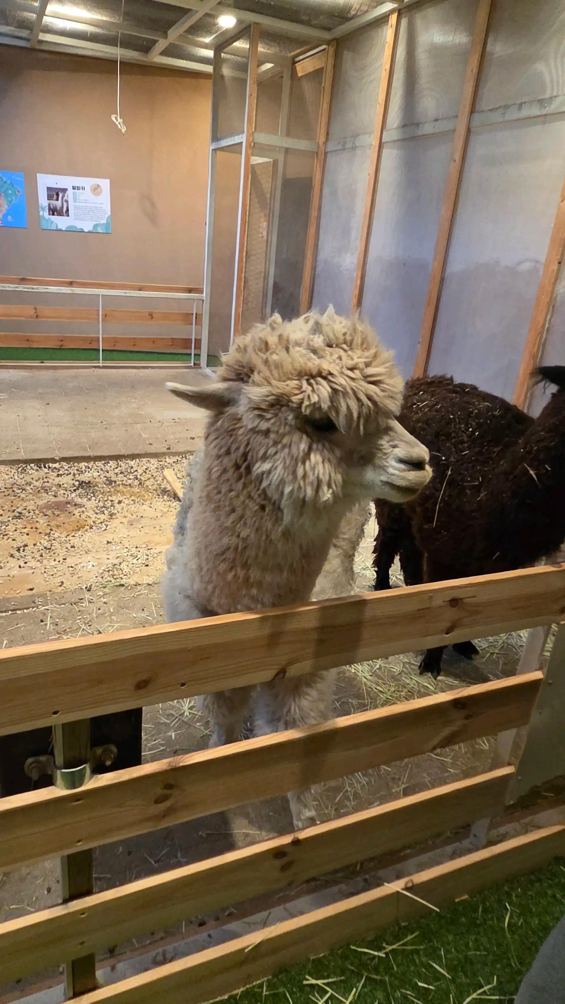 크루톡 이미지 6