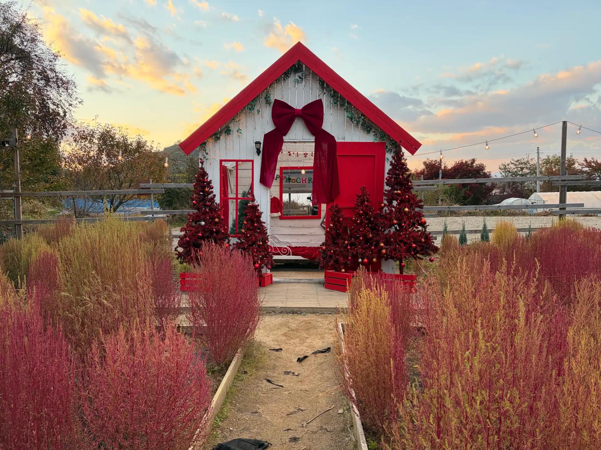 크루톡 이미지 4