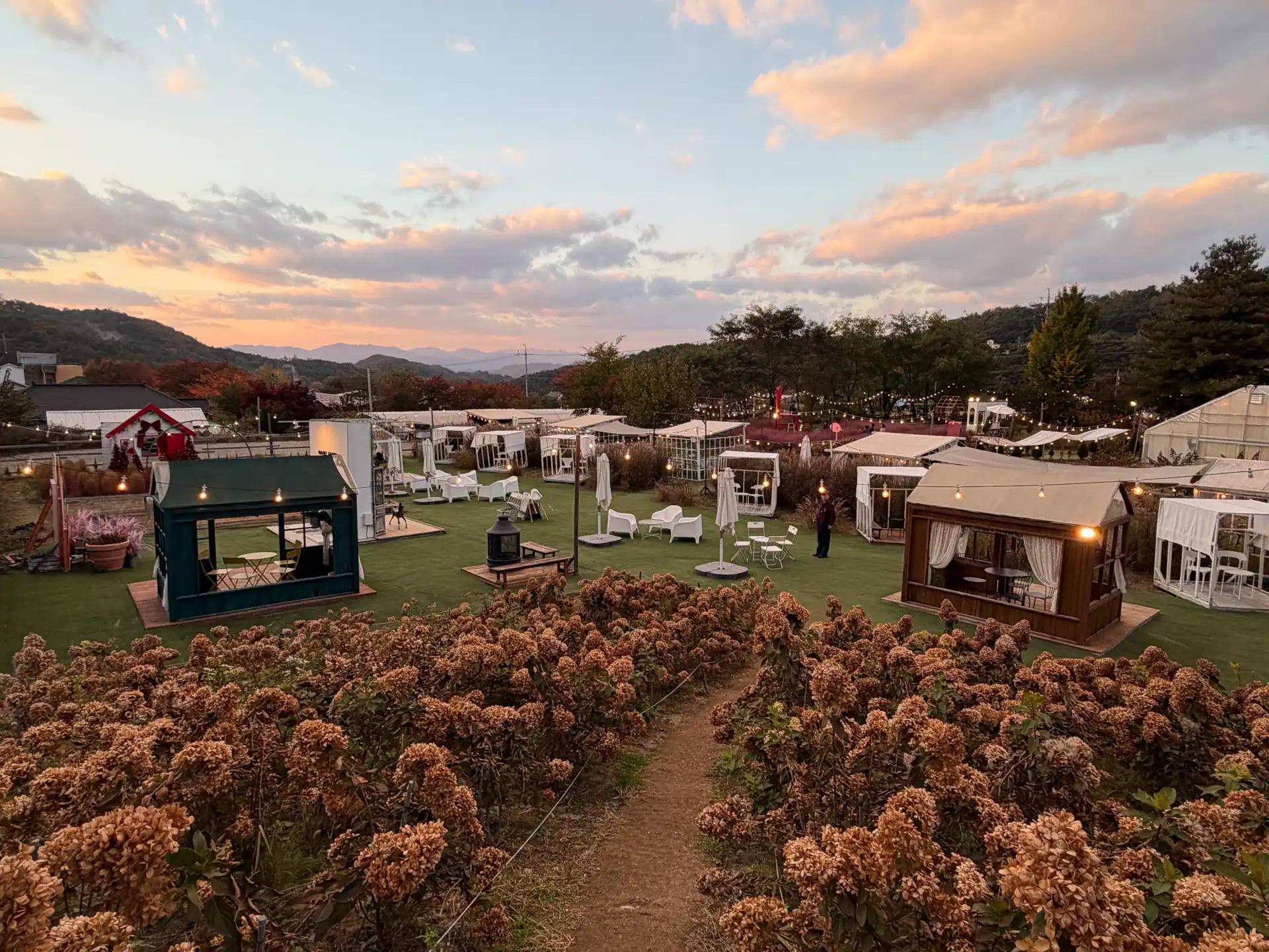 크루톡 이미지 5