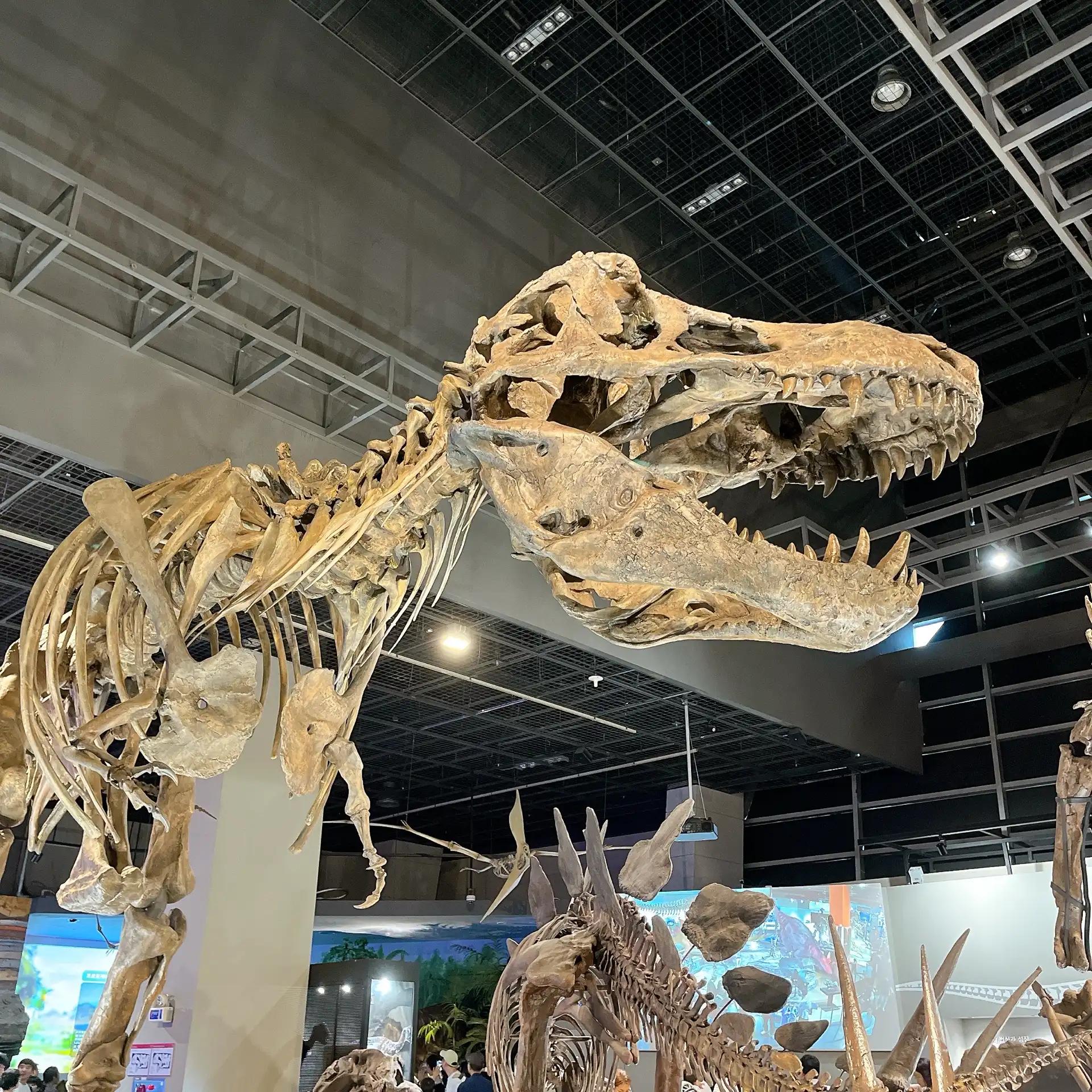 크루톡 이미지 2