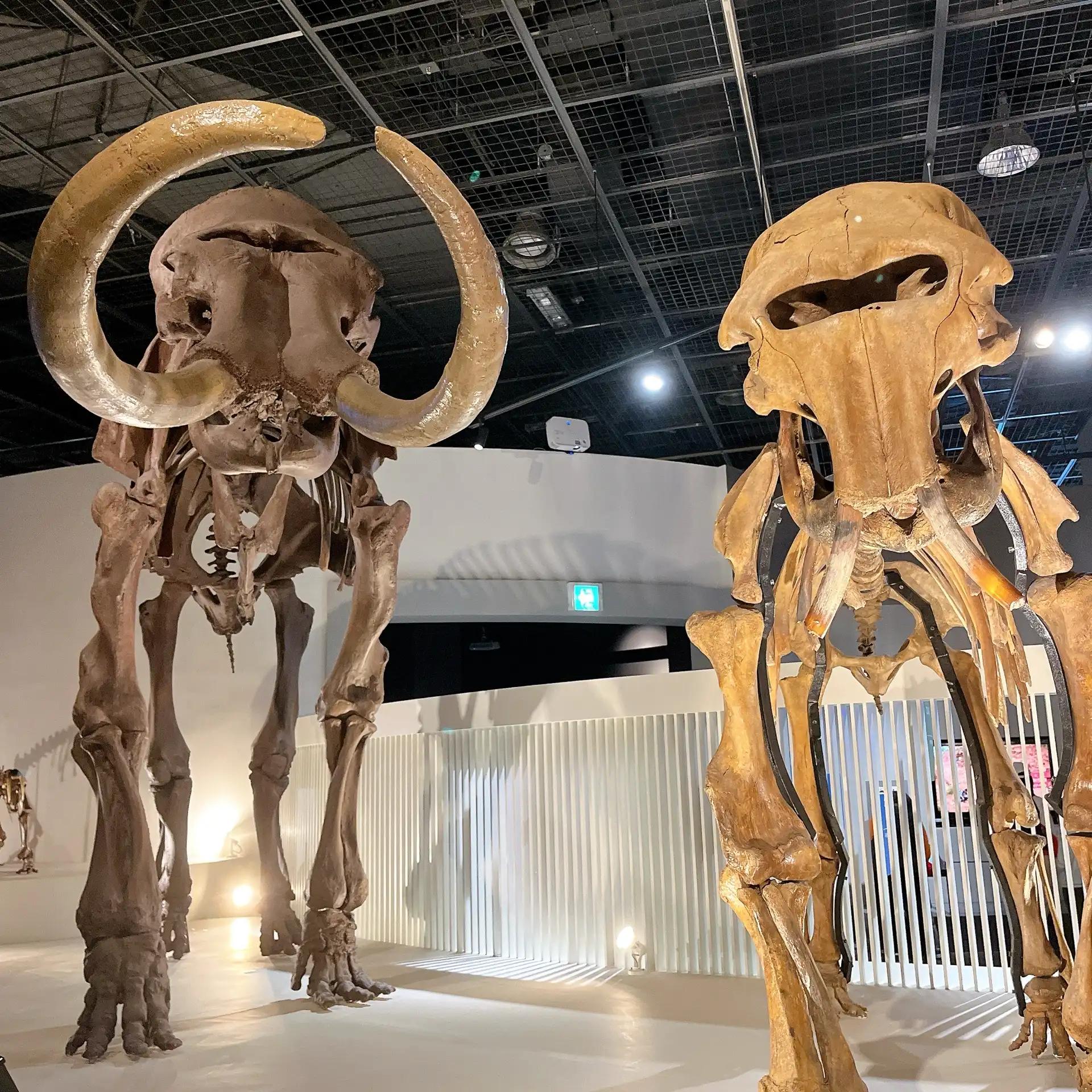 크루톡 이미지 3