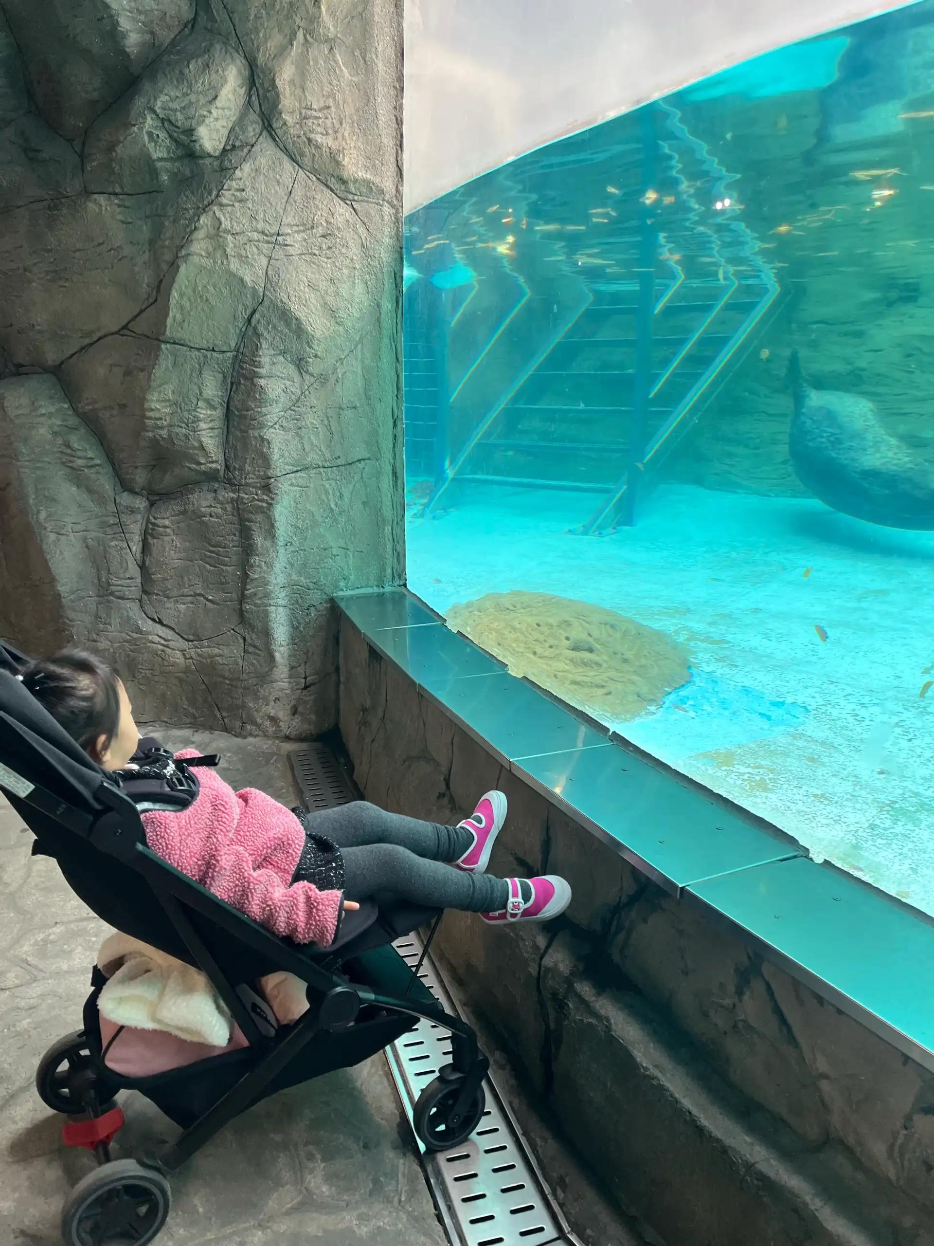 크루톡 이미지 6