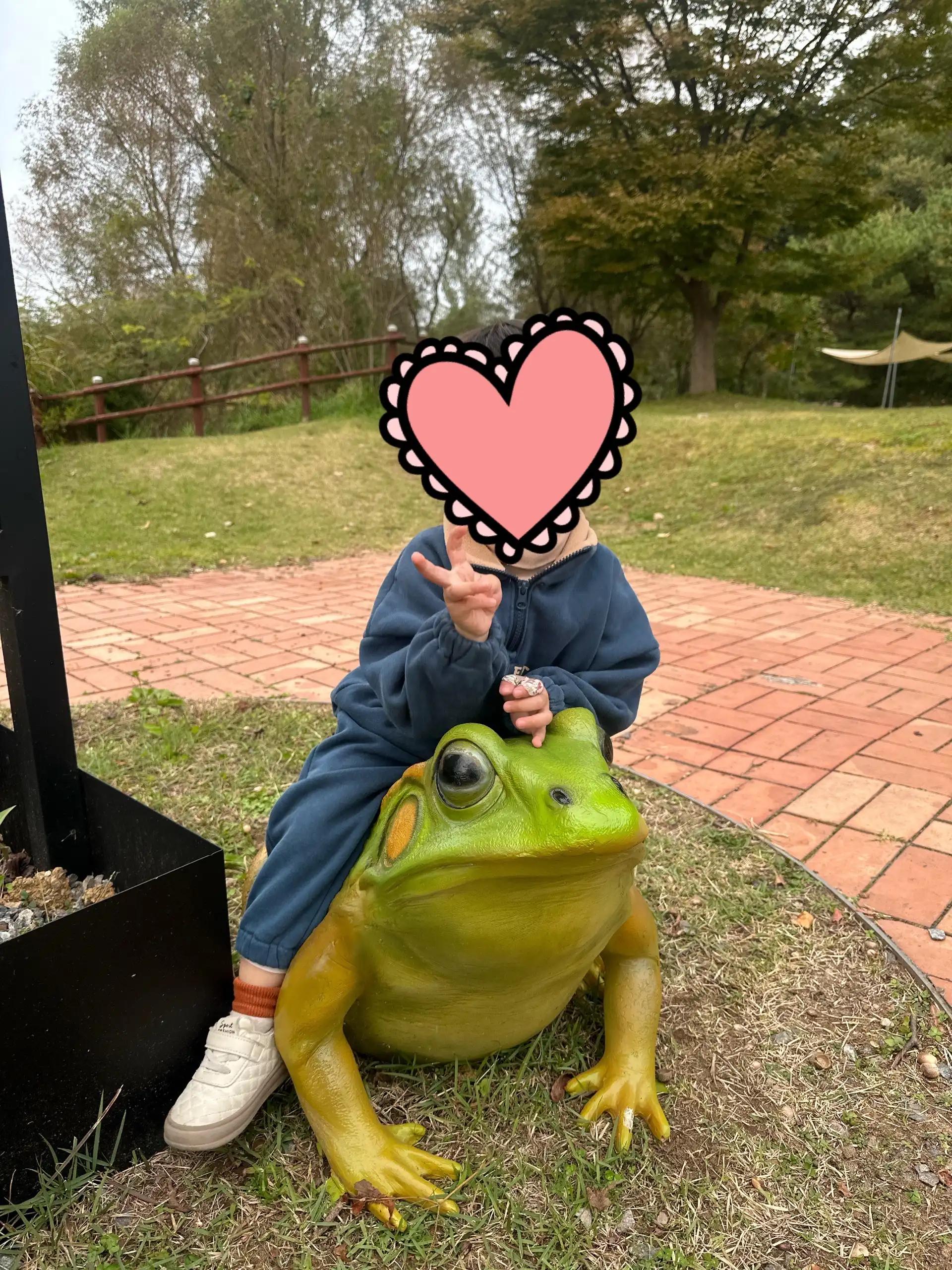 크루톡 이미지 2