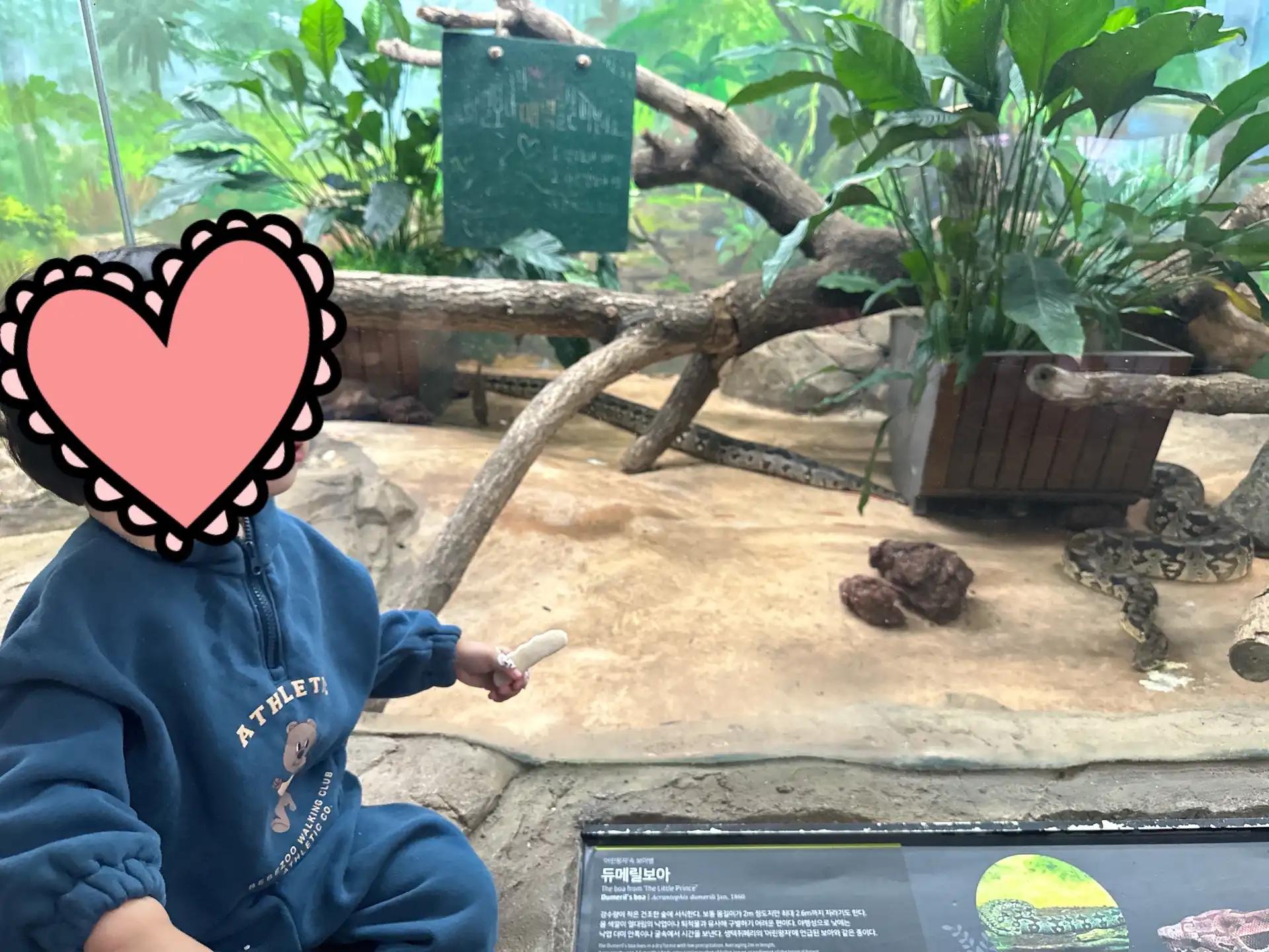 크루톡 이미지 3