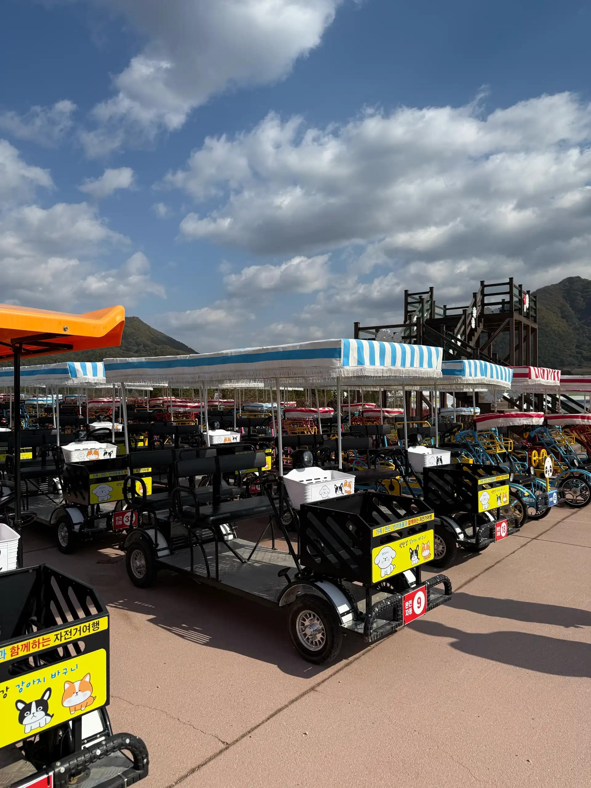 크루톡 이미지 4