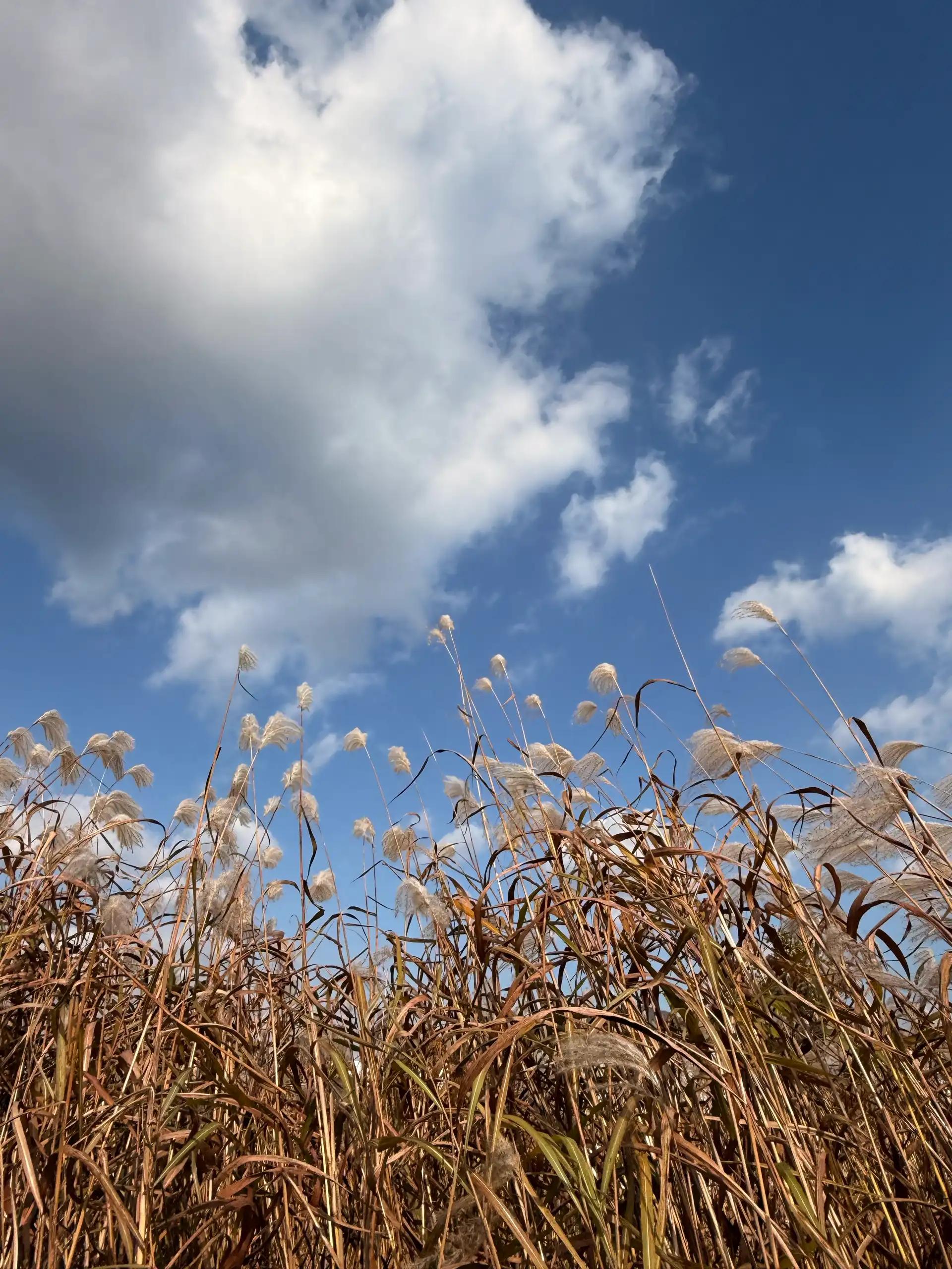 크루톡 이미지 6