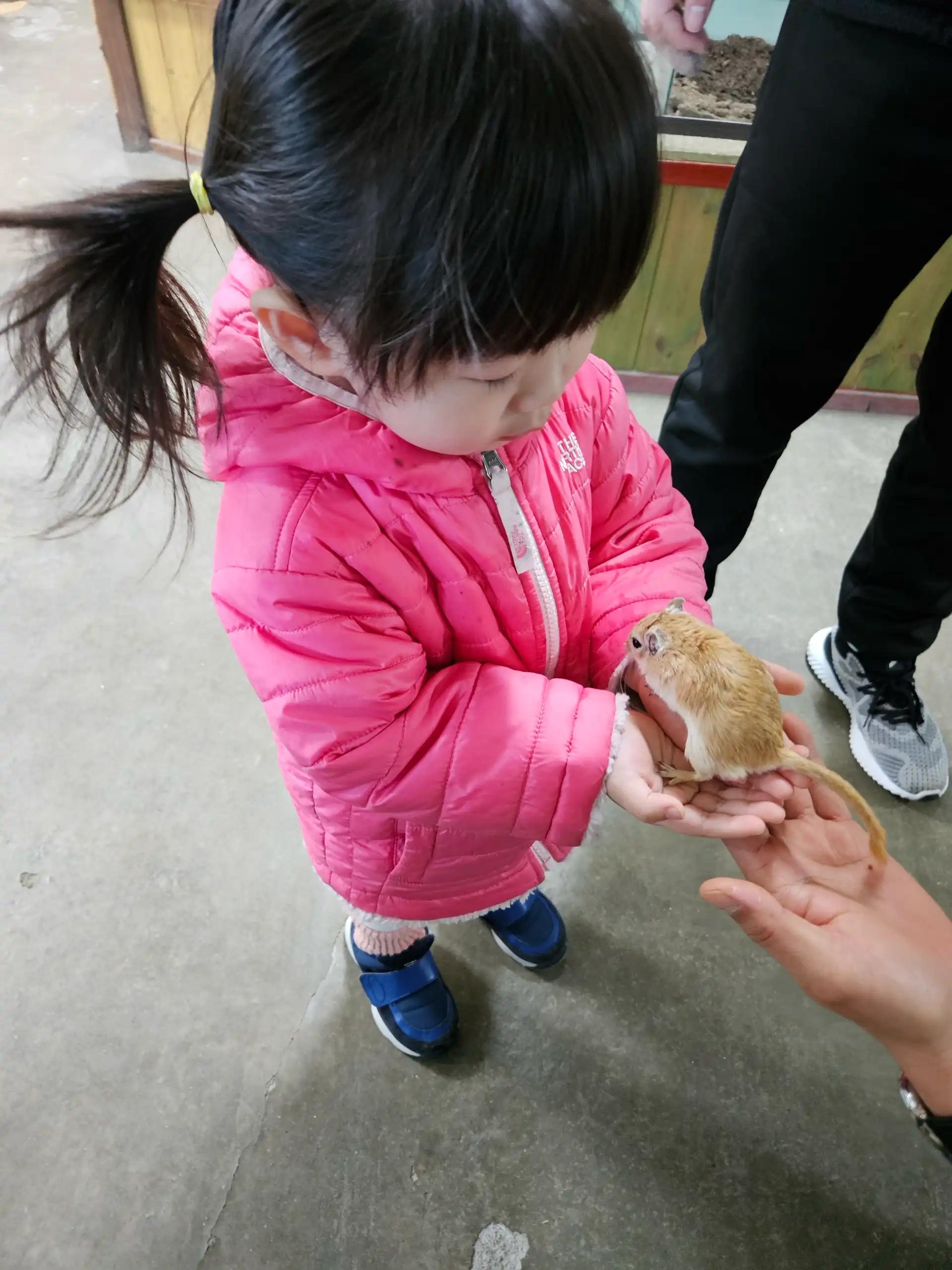 크루톡 이미지 2