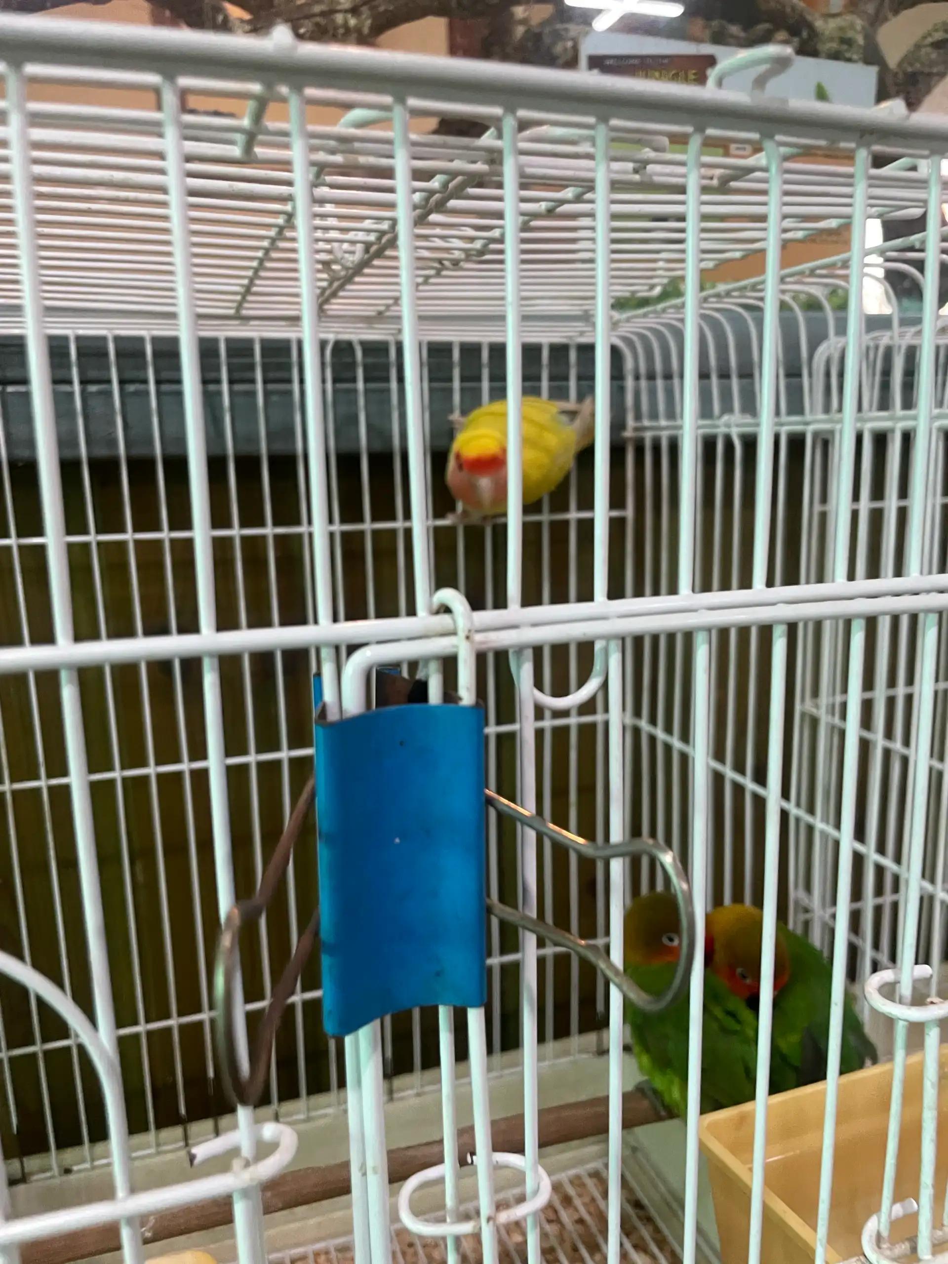 크루톡 이미지 11