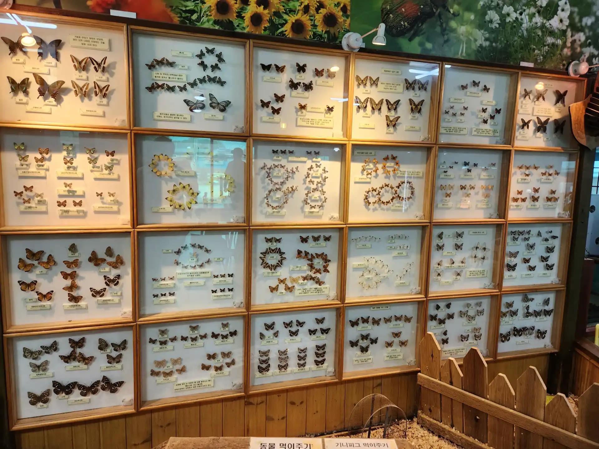 크루톡 이미지 13