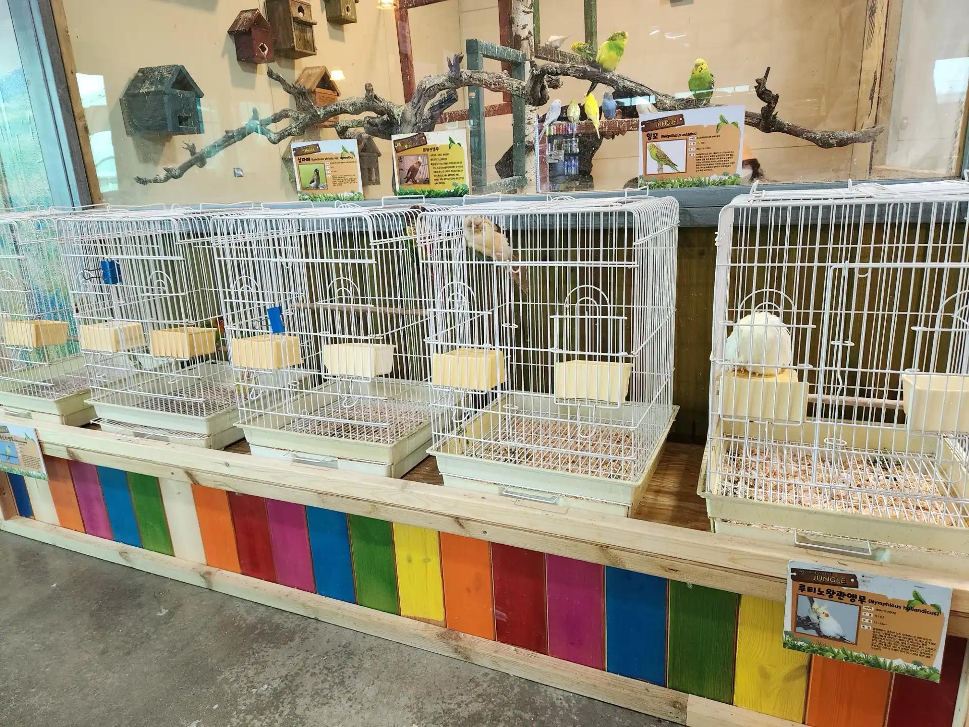 크루톡 이미지 14