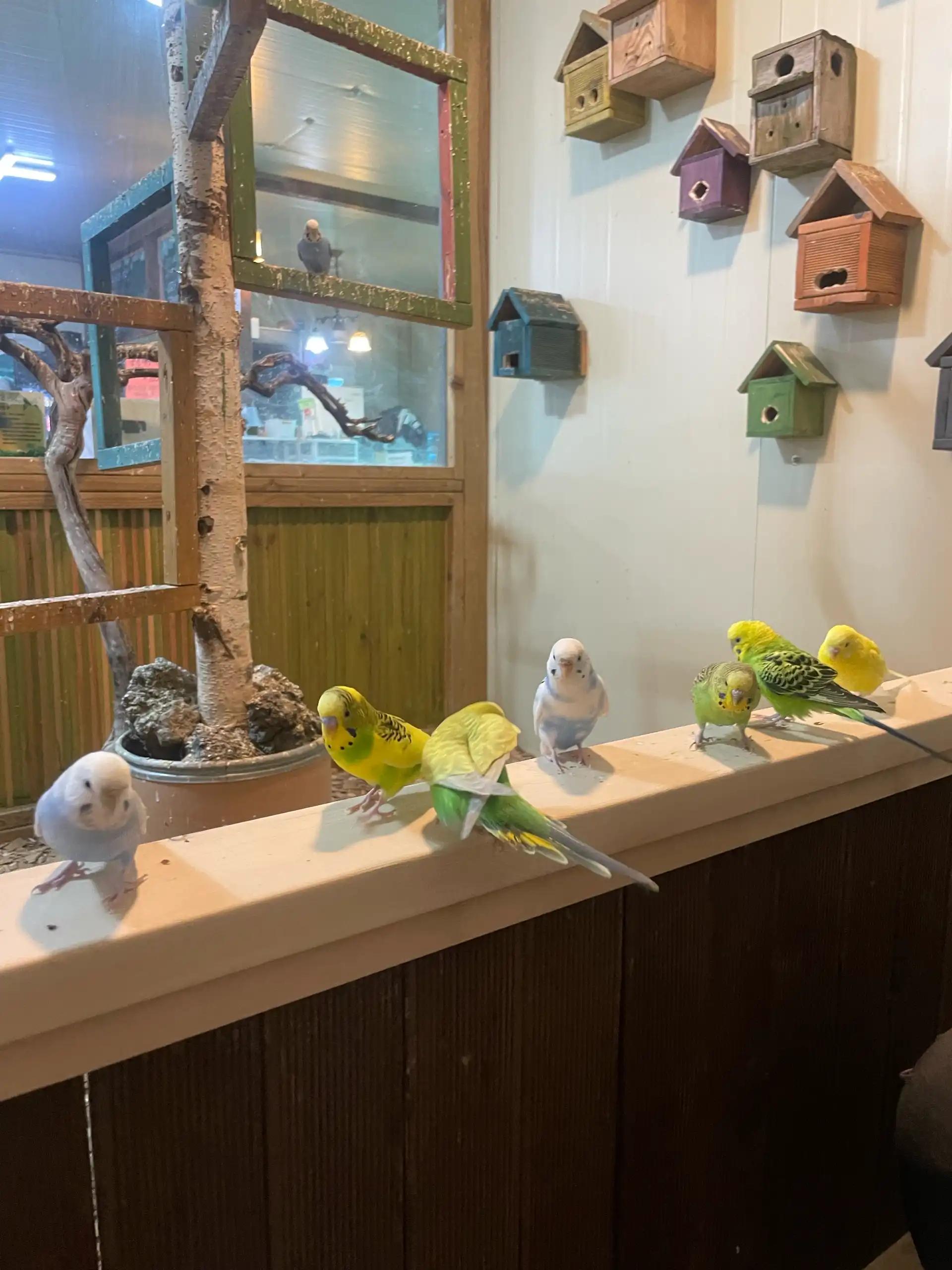 크루톡 이미지 15