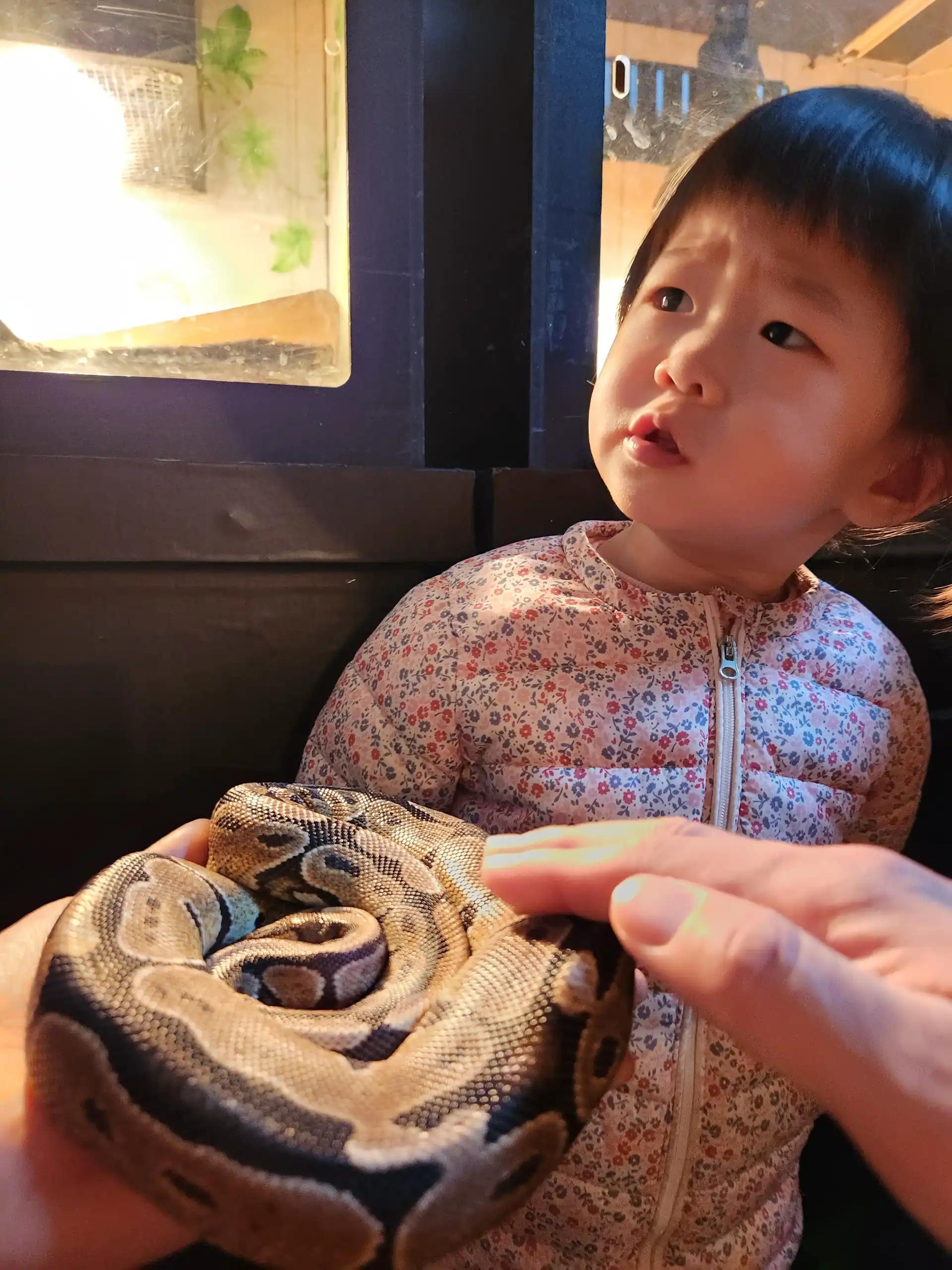 크루톡 이미지 17