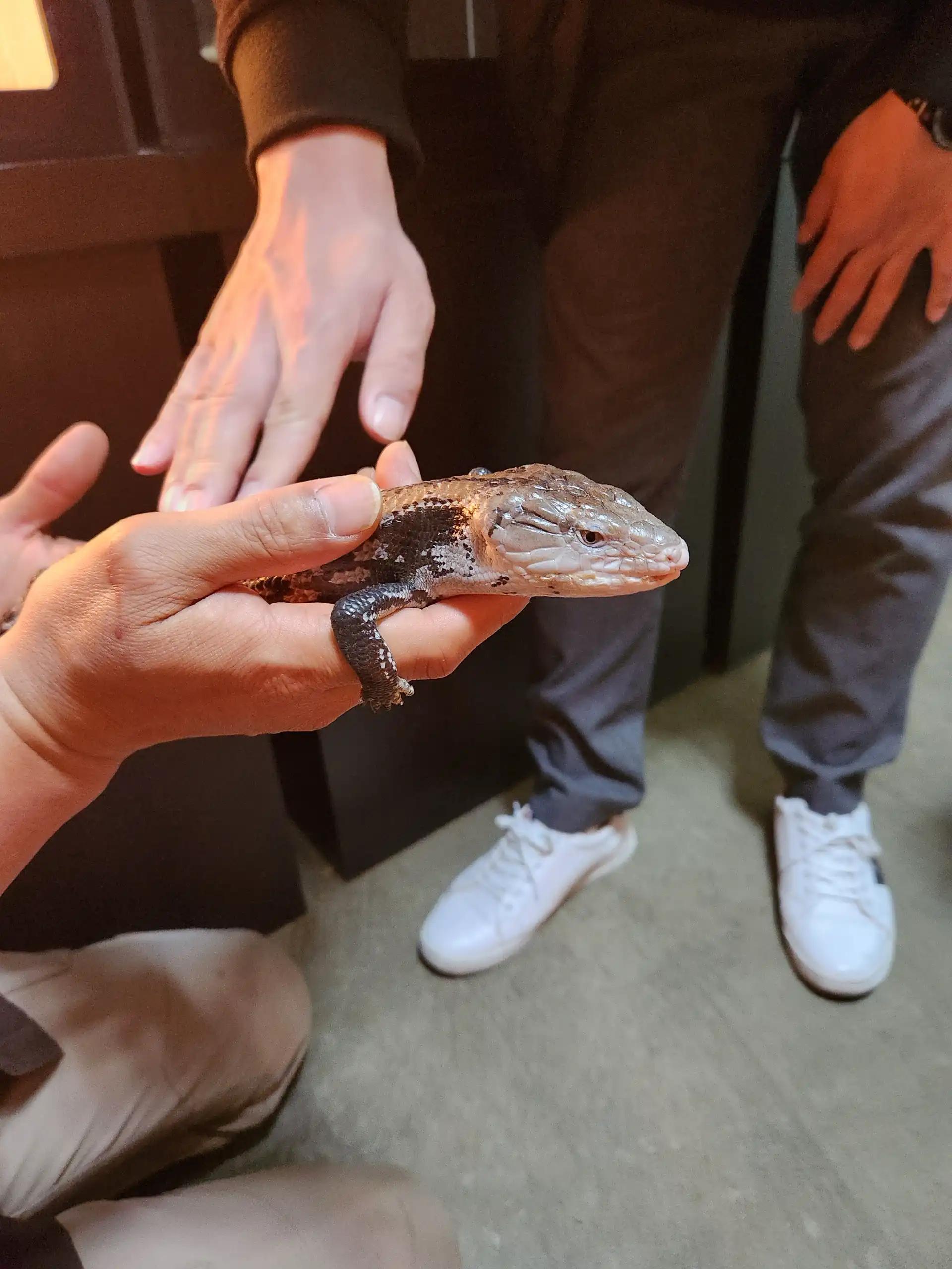 크루톡 이미지 18