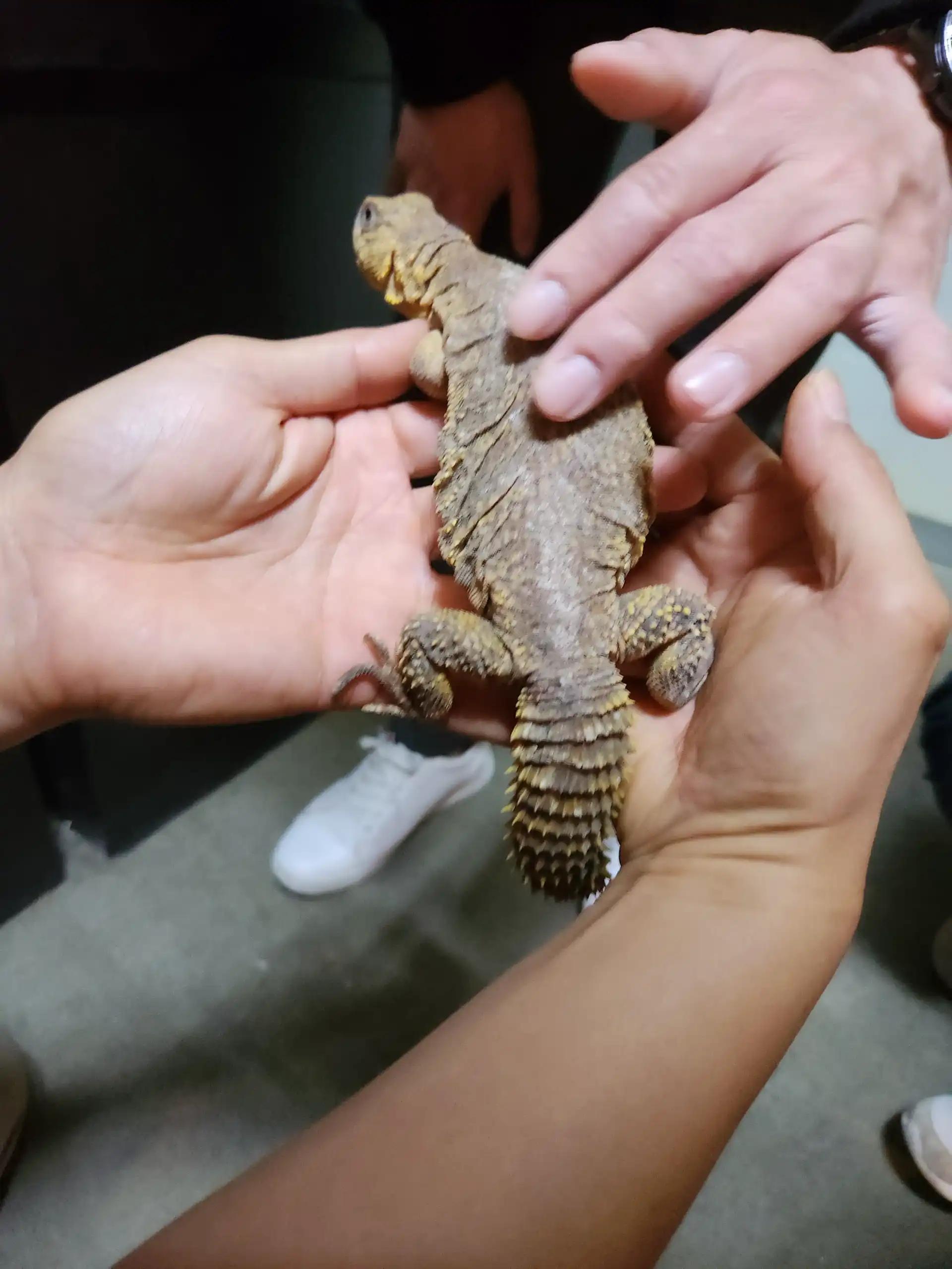 크루톡 이미지 19