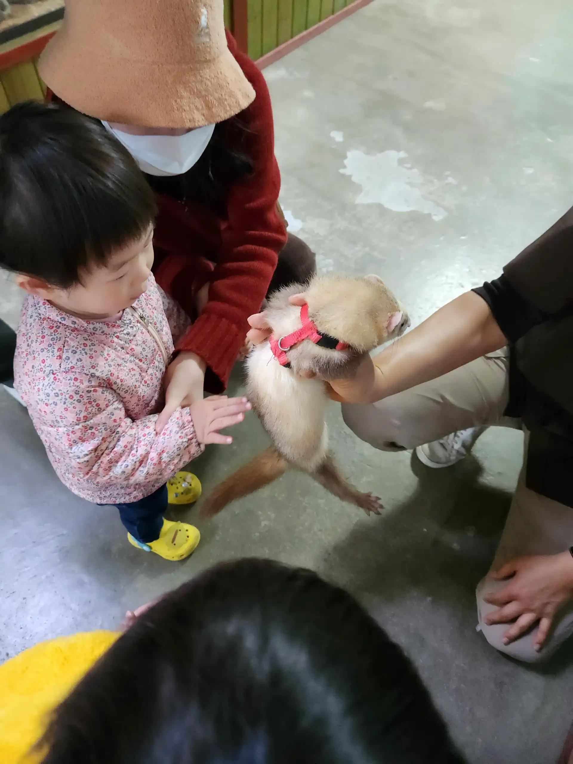 크루톡 이미지 20