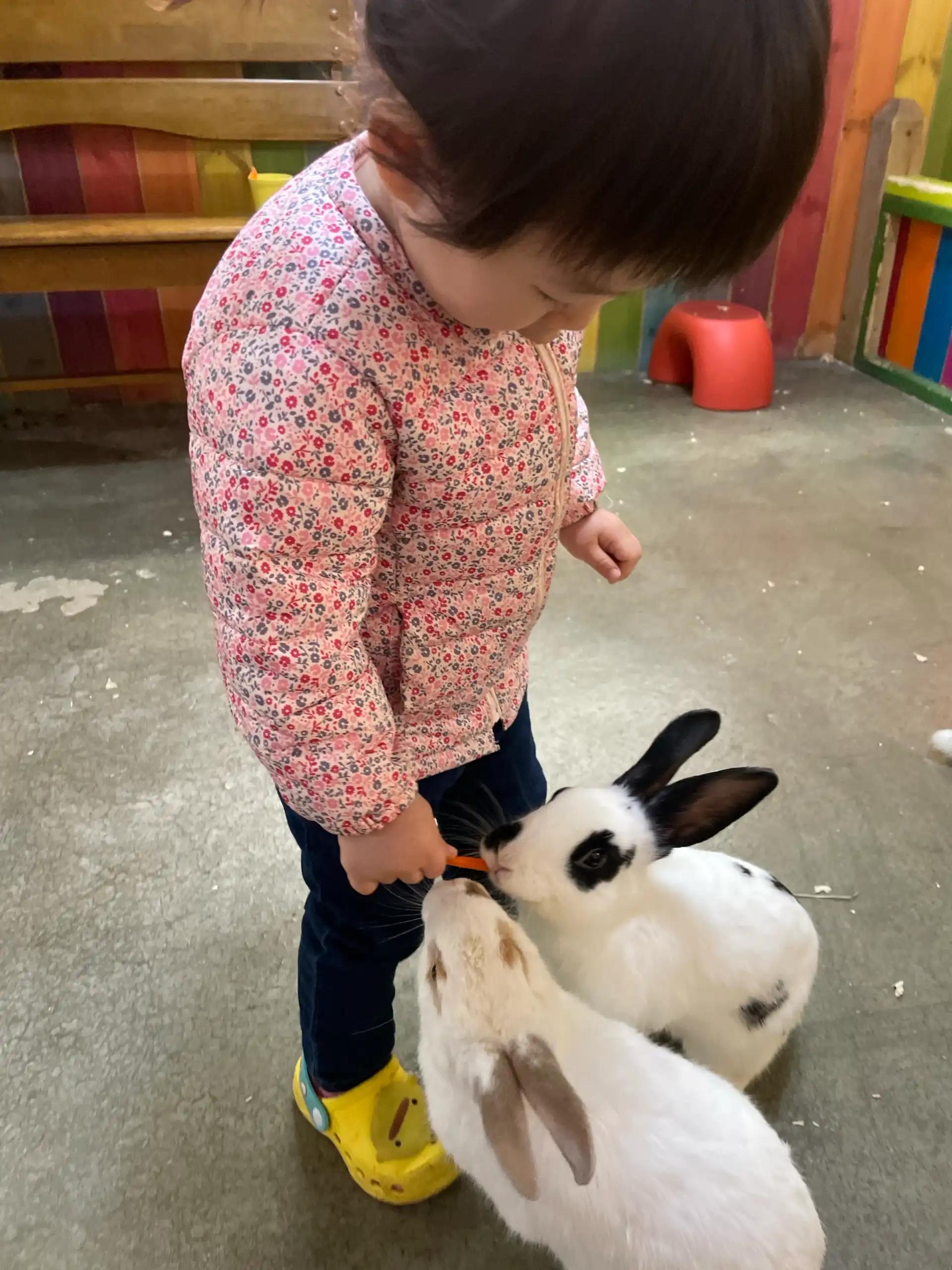 크루톡 이미지 3