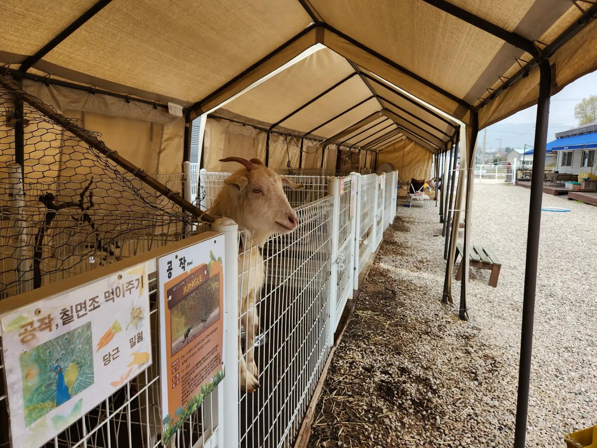 크루톡 이미지 7