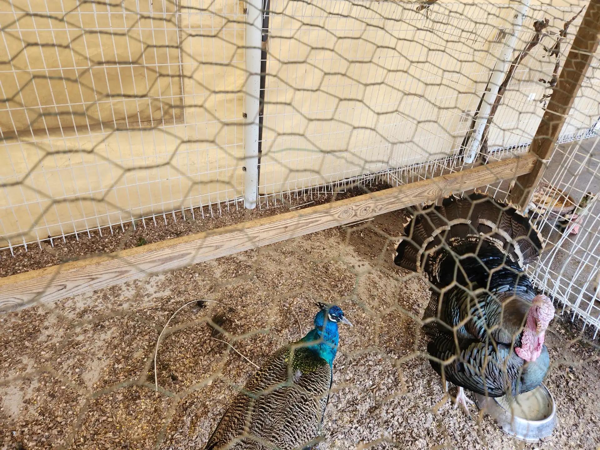 크루톡 이미지 8