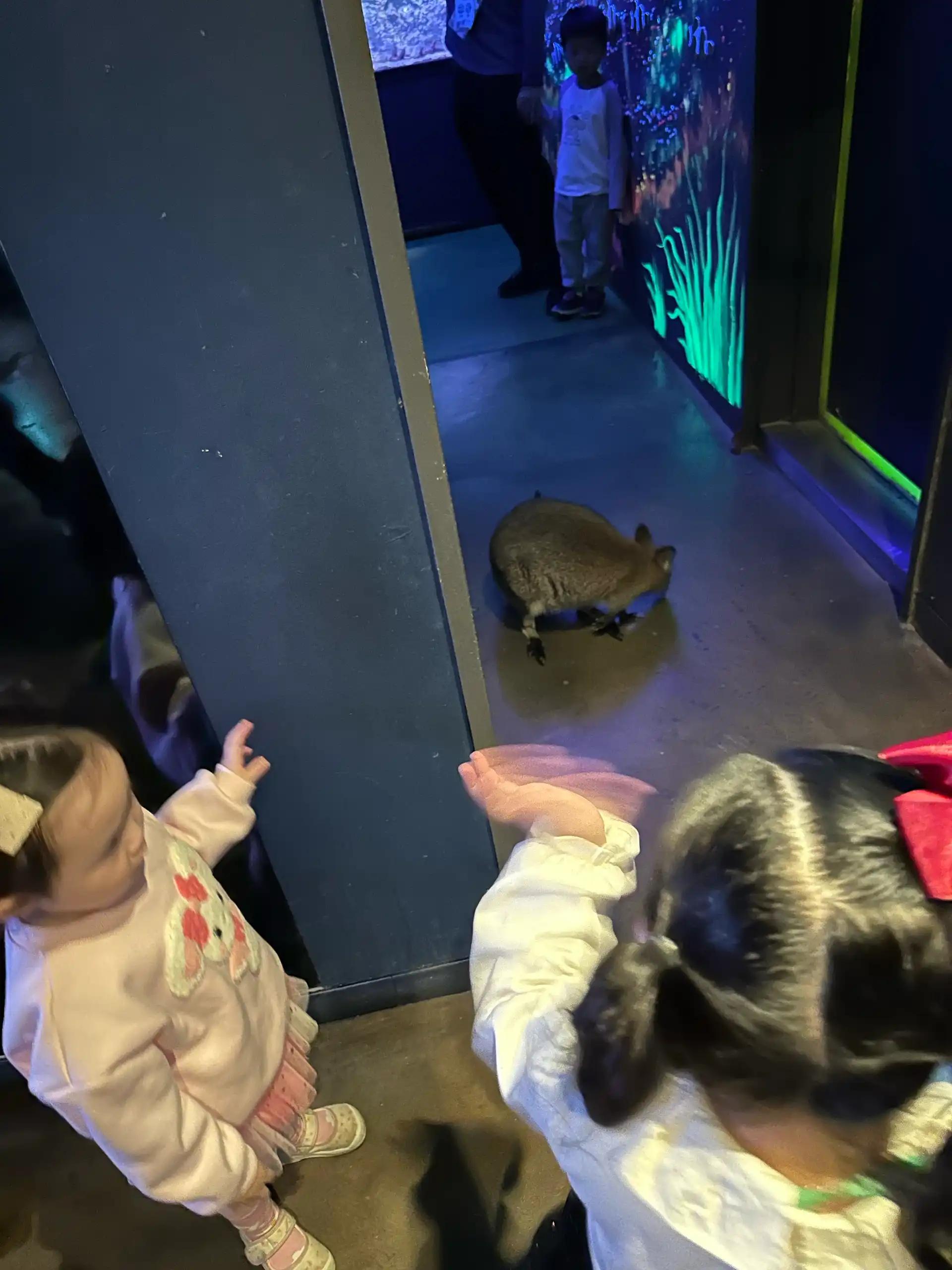 크루톡 이미지 2