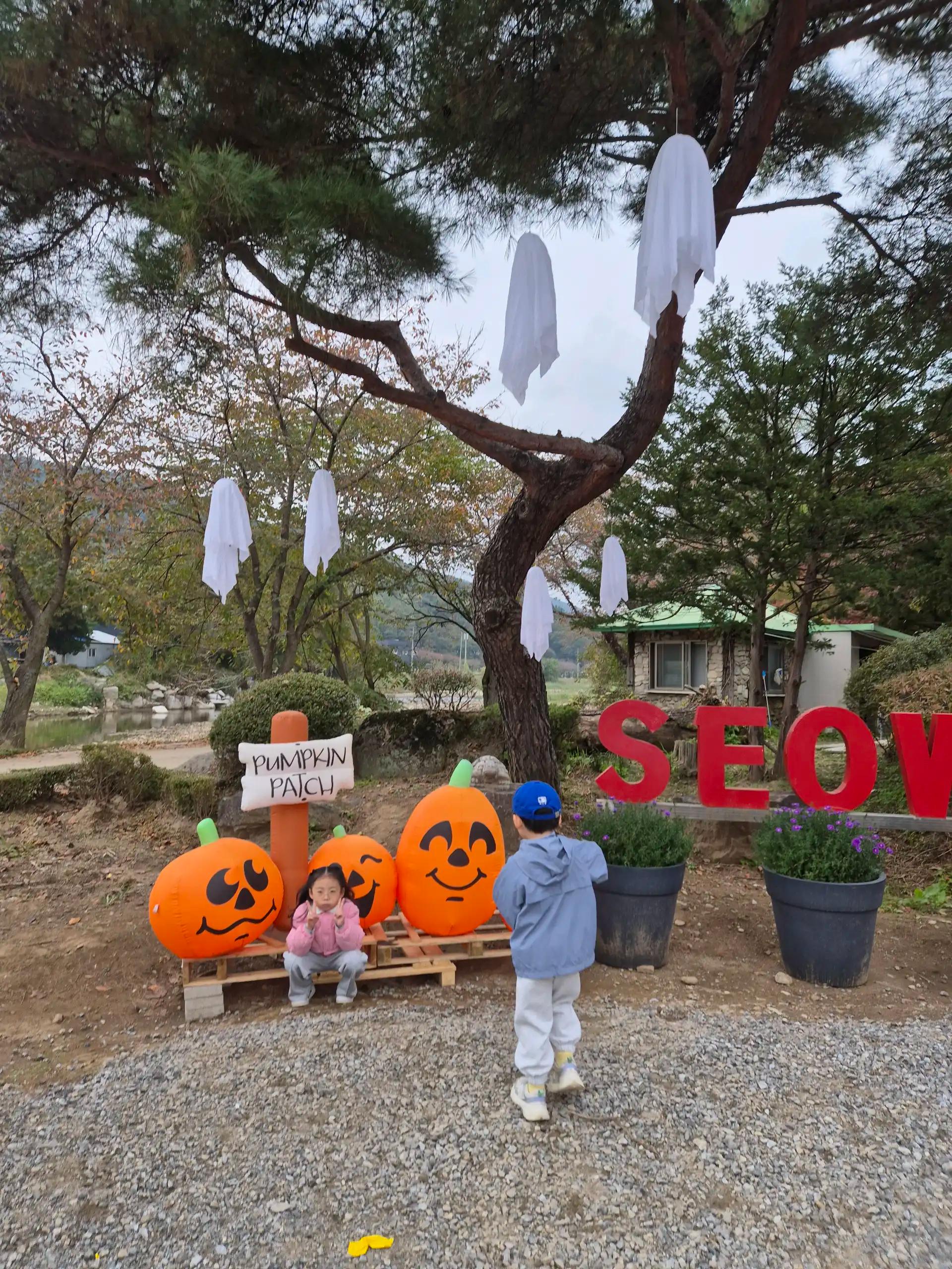 크루톡 이미지 2