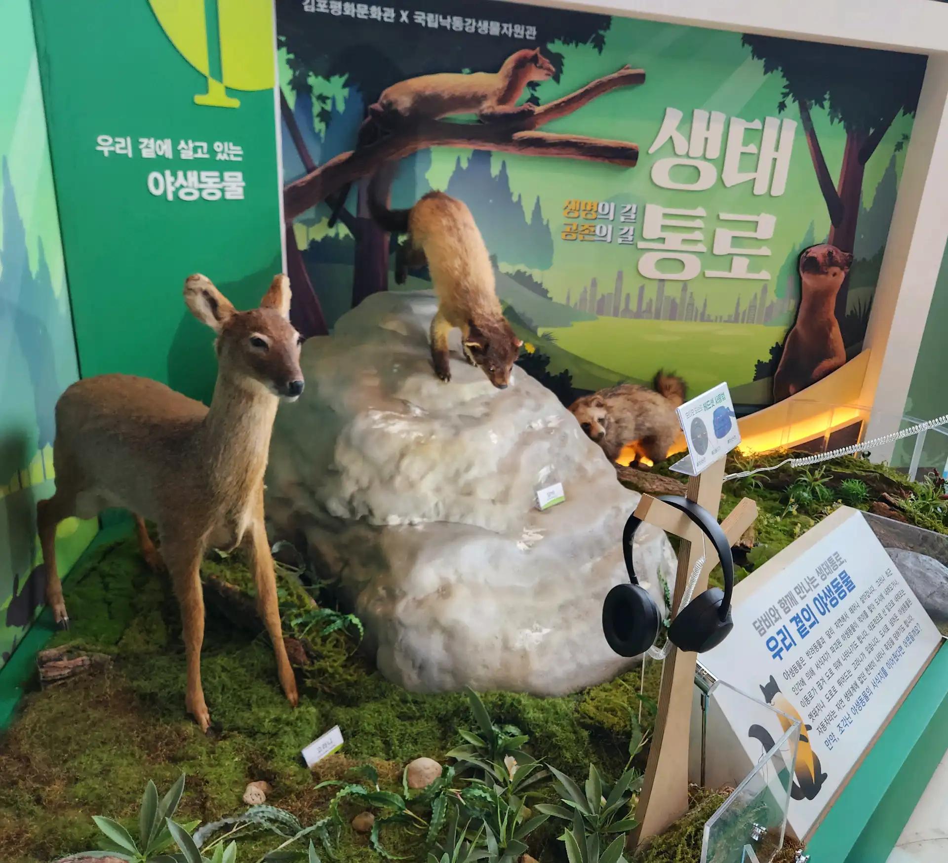 크루톡 이미지 7