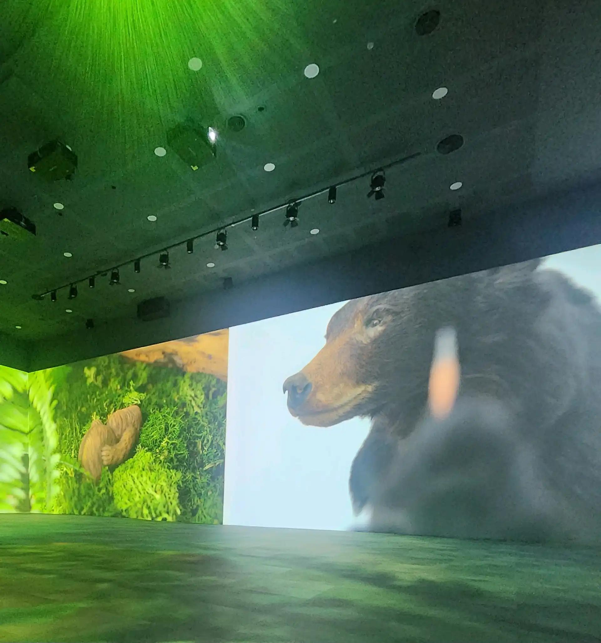 크루톡 이미지 4