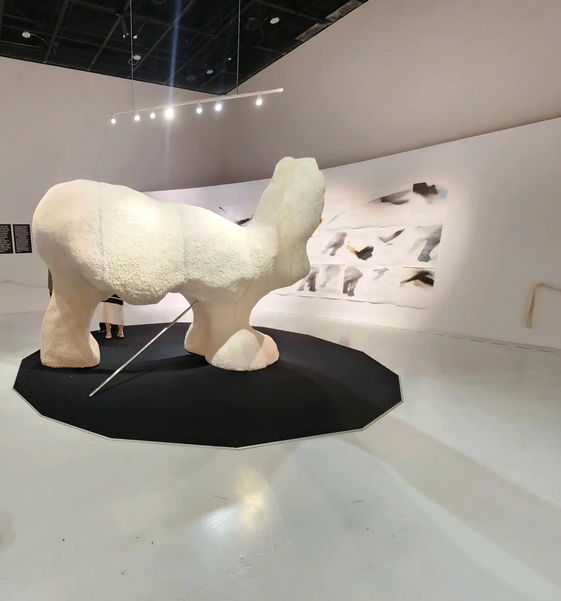 크루톡 이미지 5