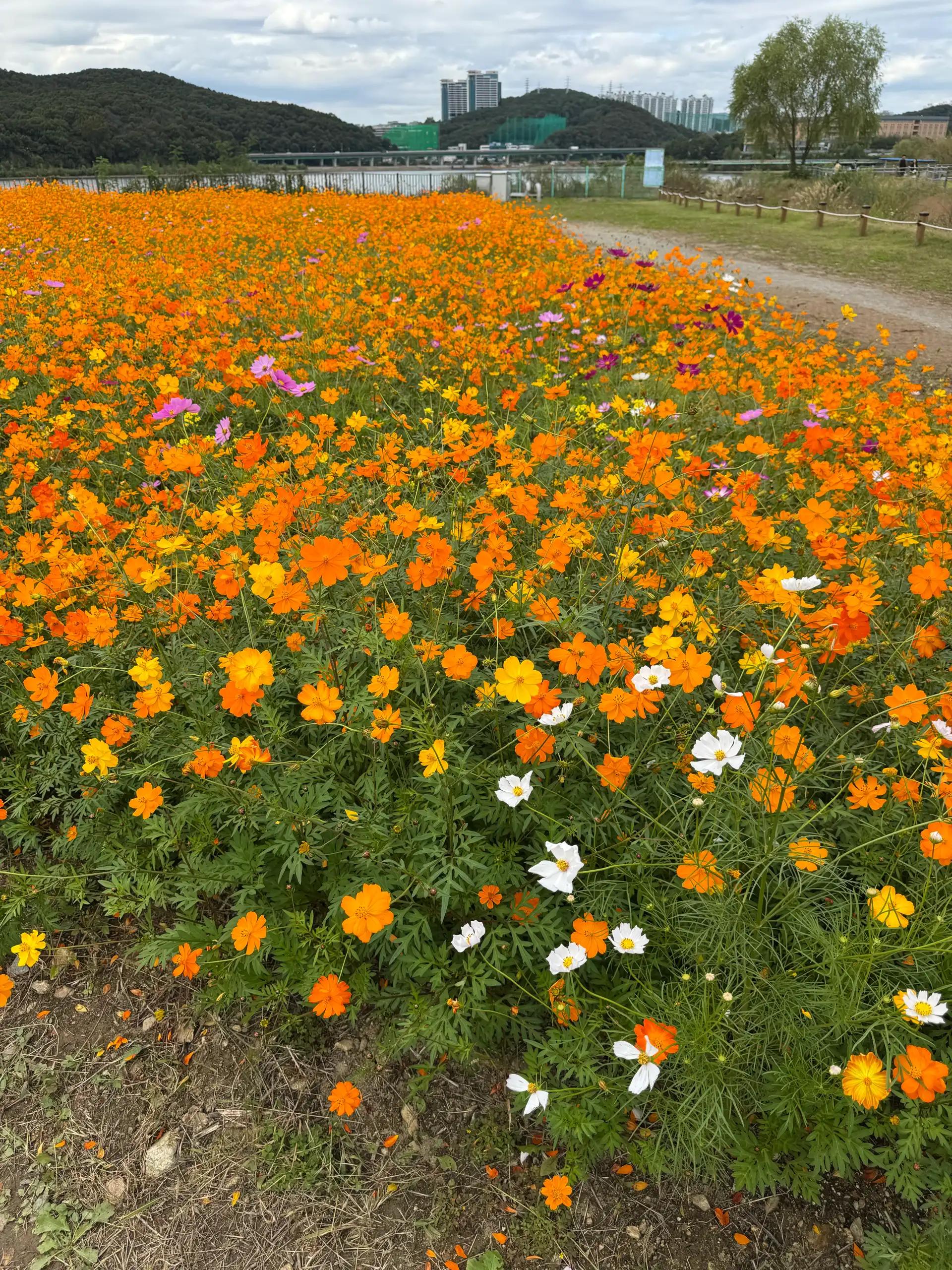 크루톡 이미지 3