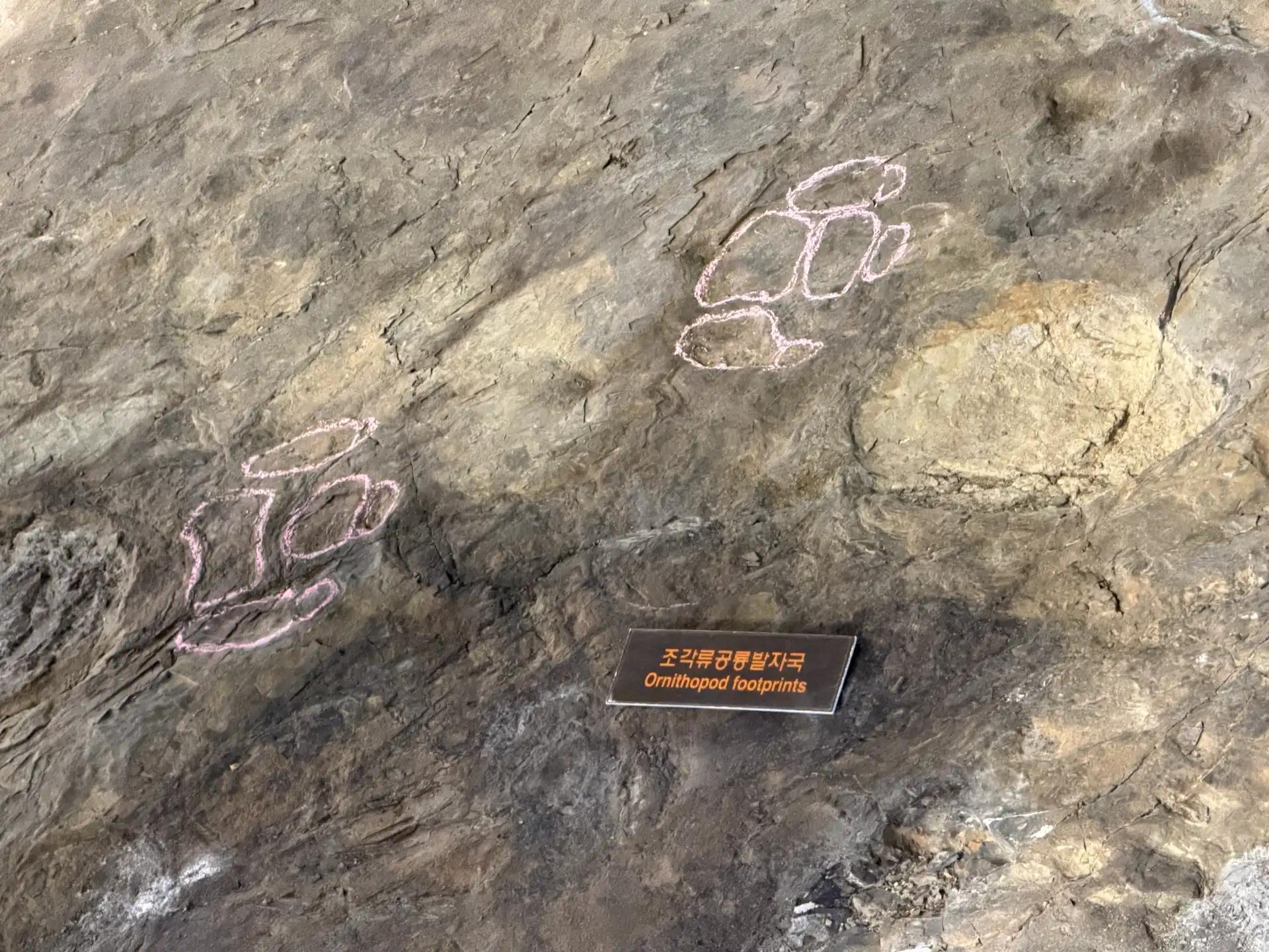 크루톡 이미지 3