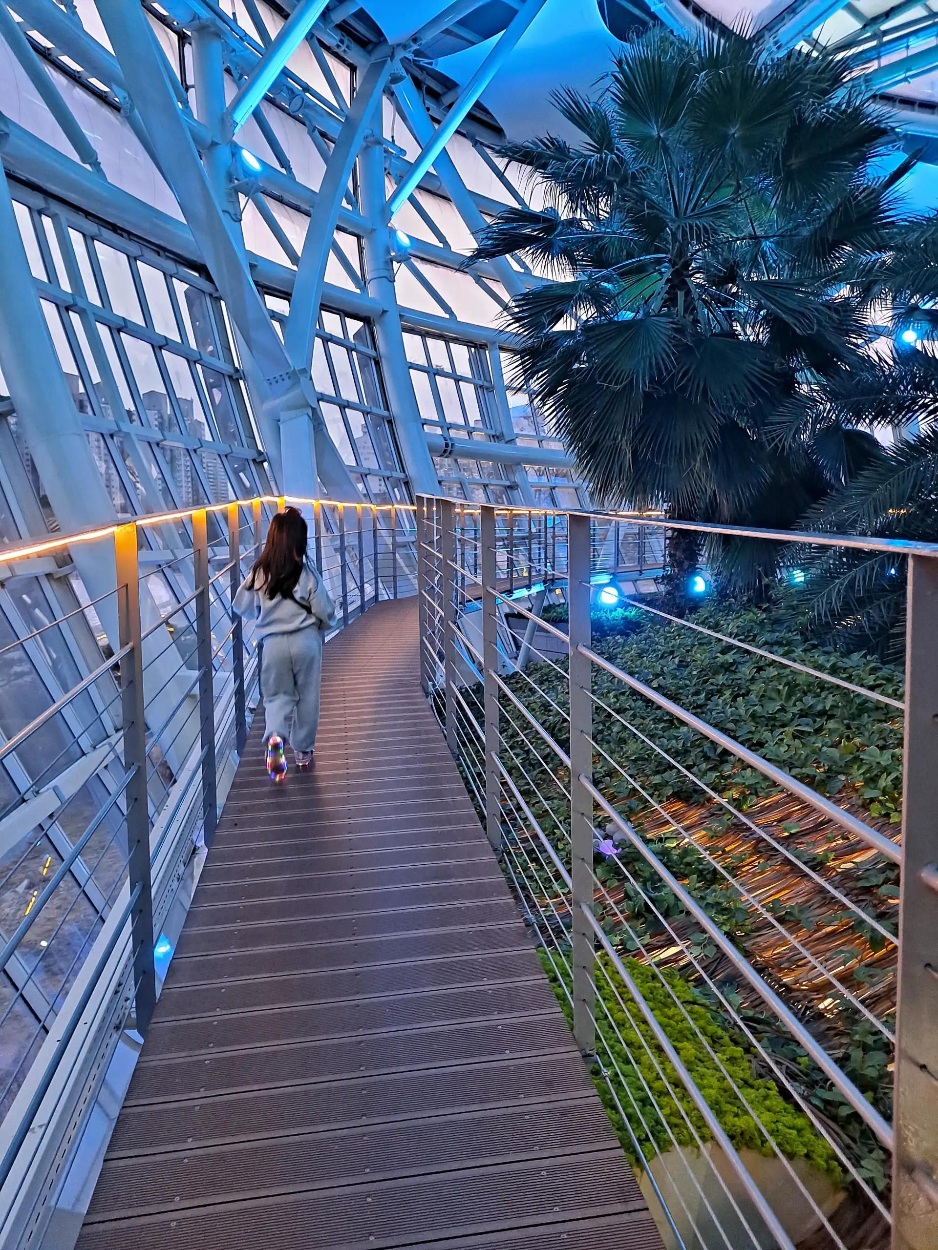 크루톡 이미지 3