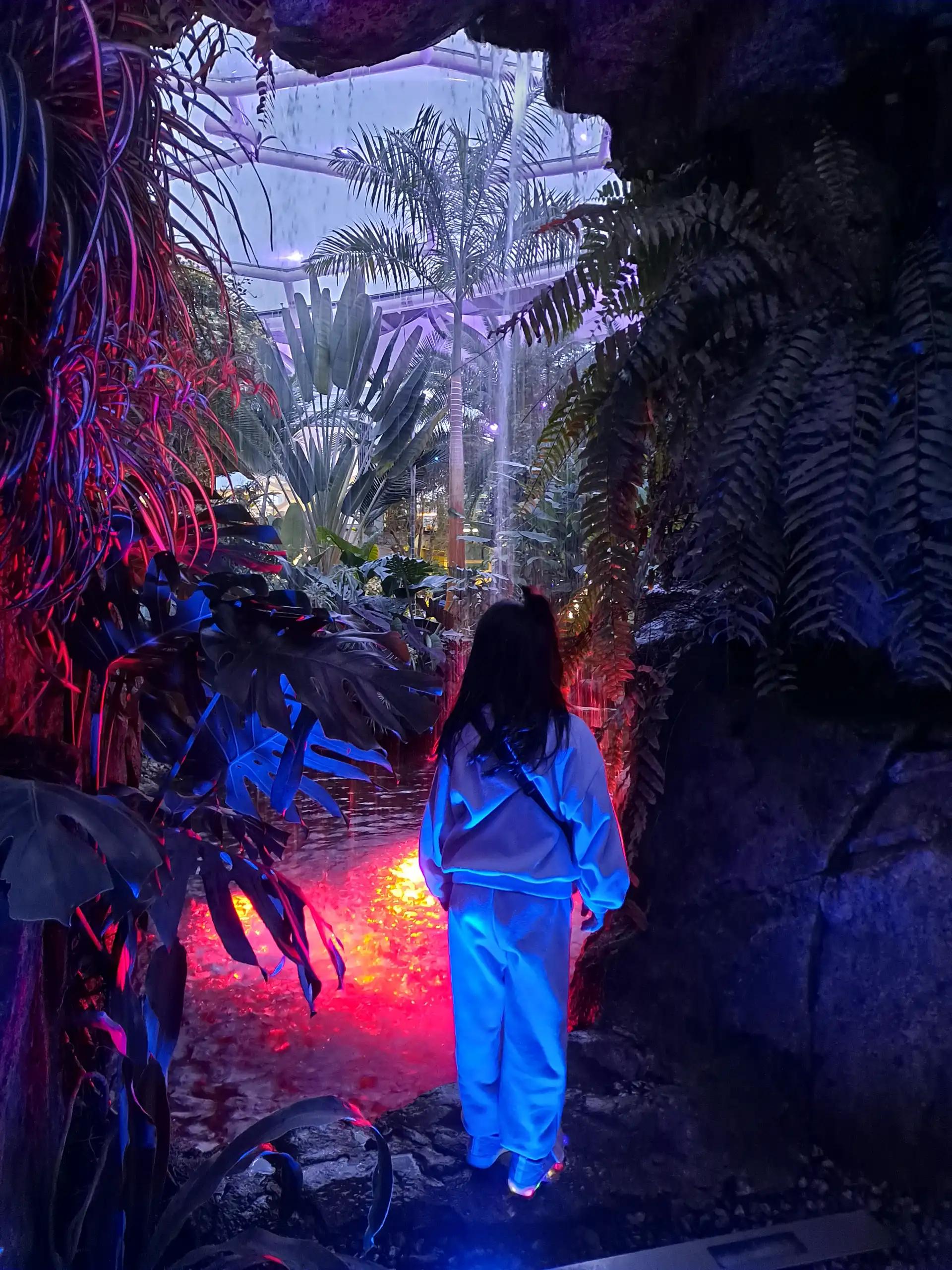 크루톡 이미지 4