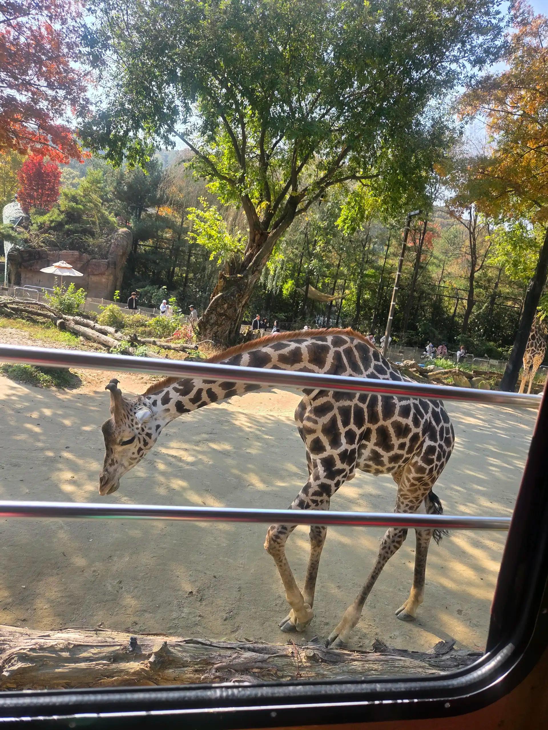 크루톡 이미지 2