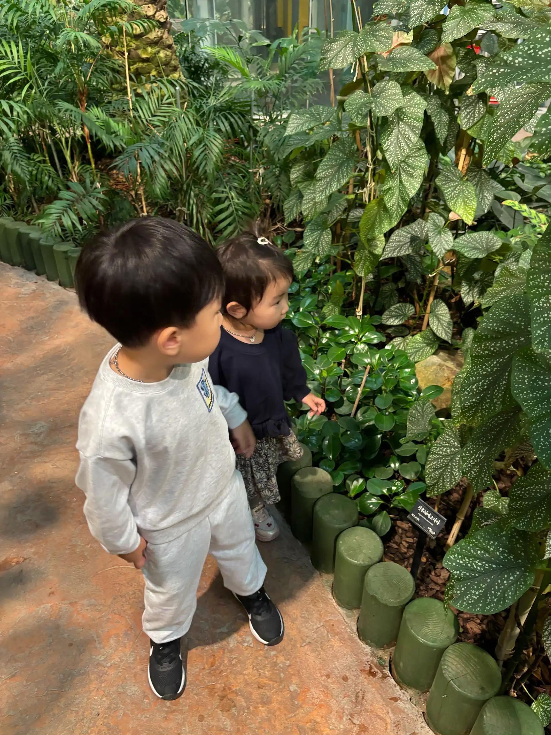 크루톡 이미지 3