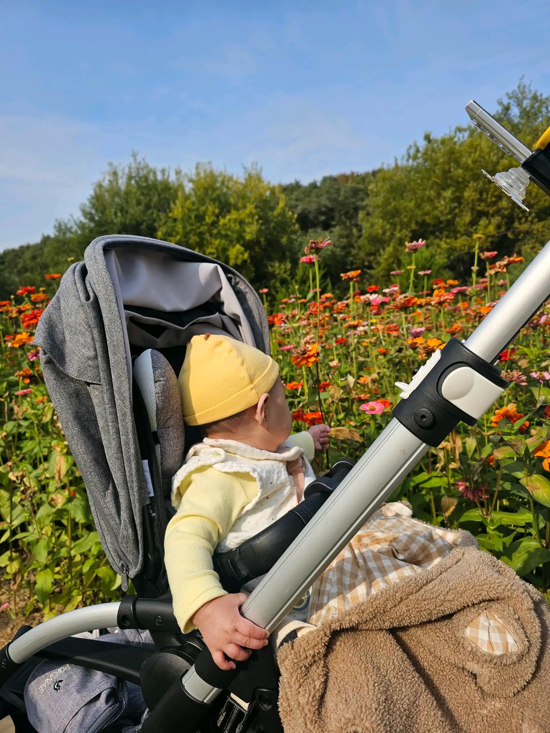 크루톡 이미지 2