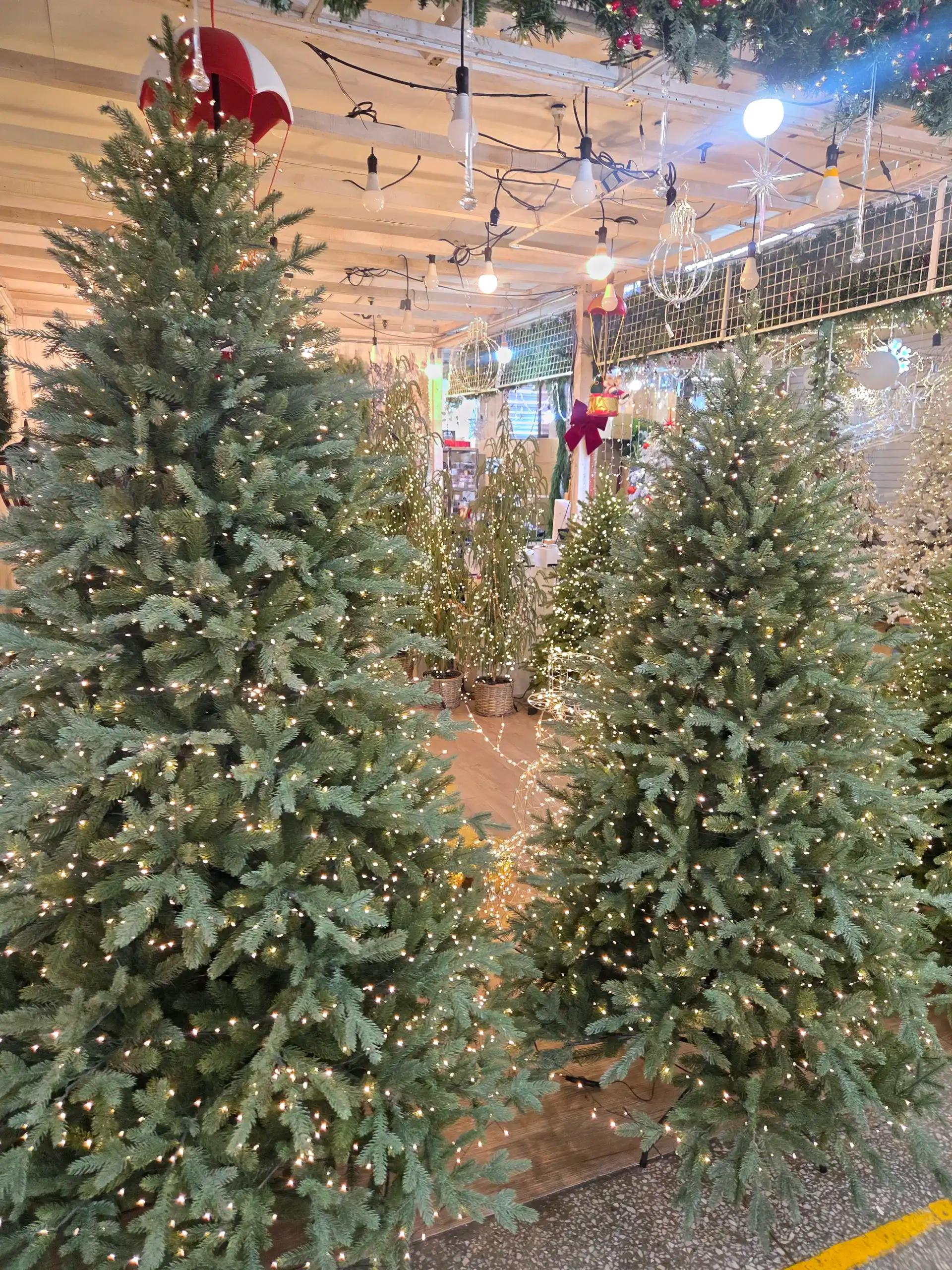 크루톡 이미지 2