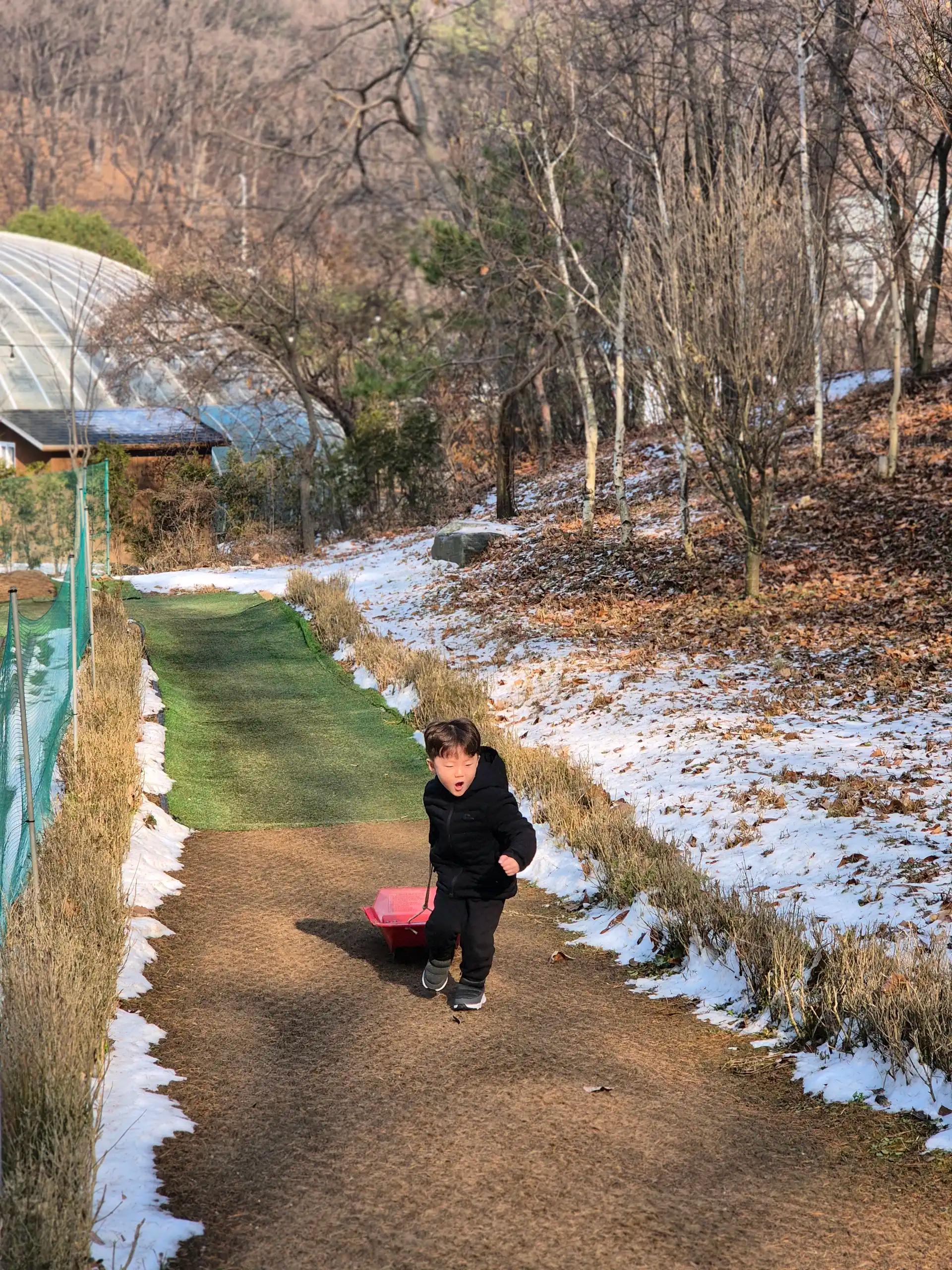 크루톡 이미지 1