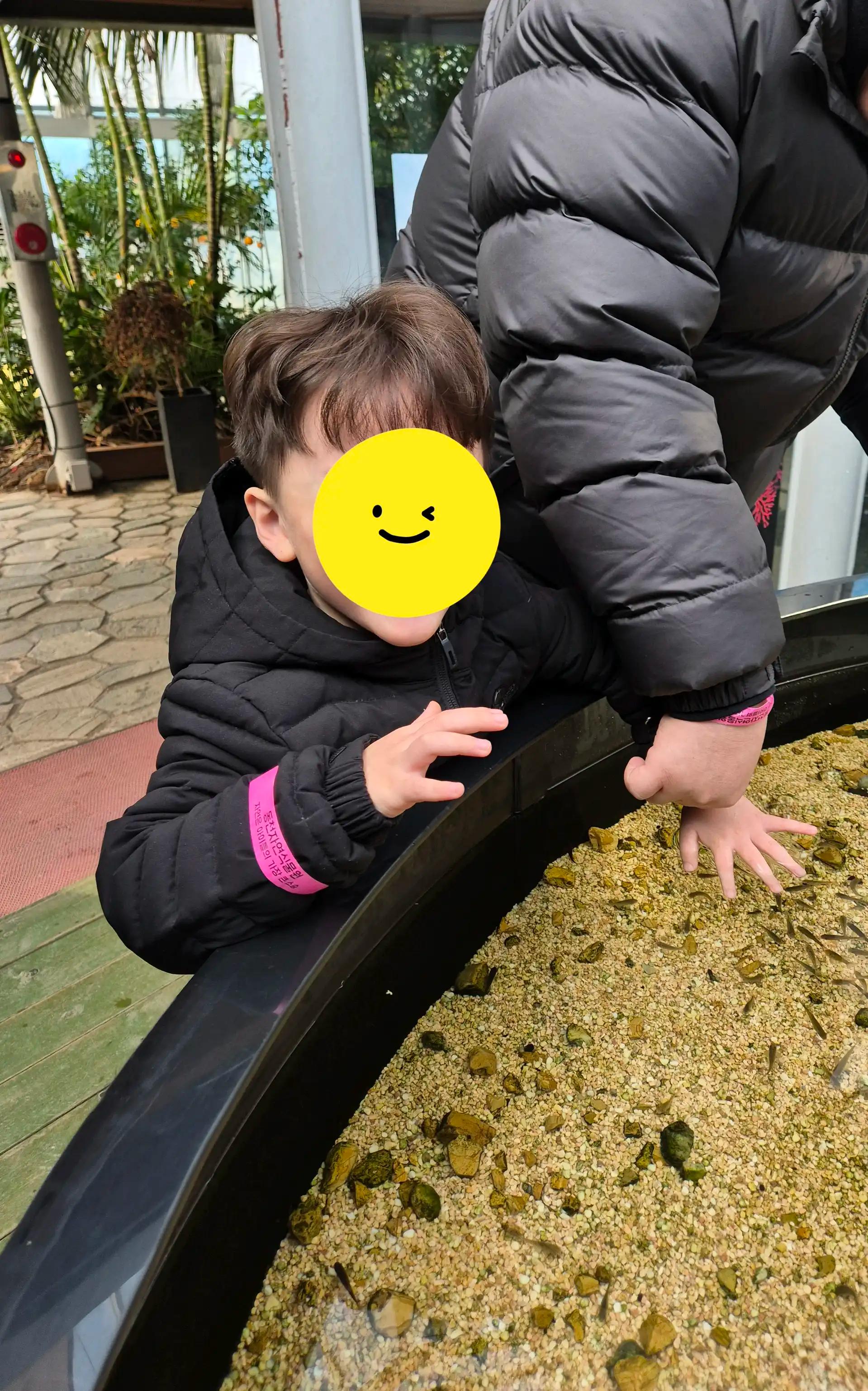 크루톡 이미지 4