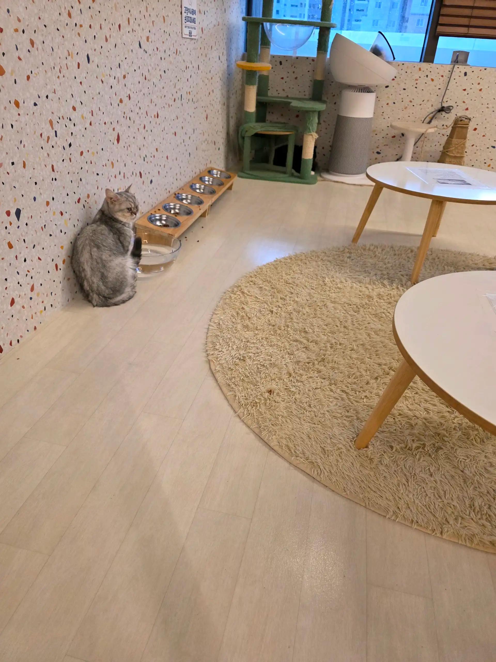 크루톡 이미지 2