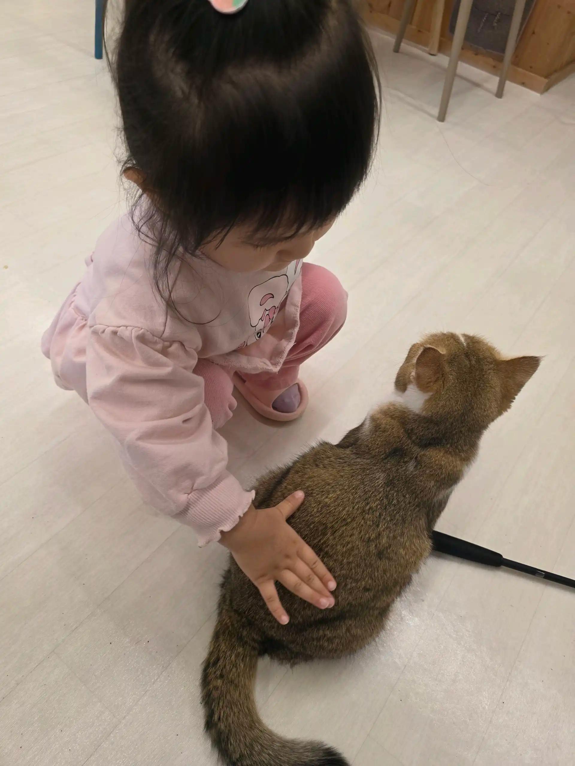 크루톡 이미지 3