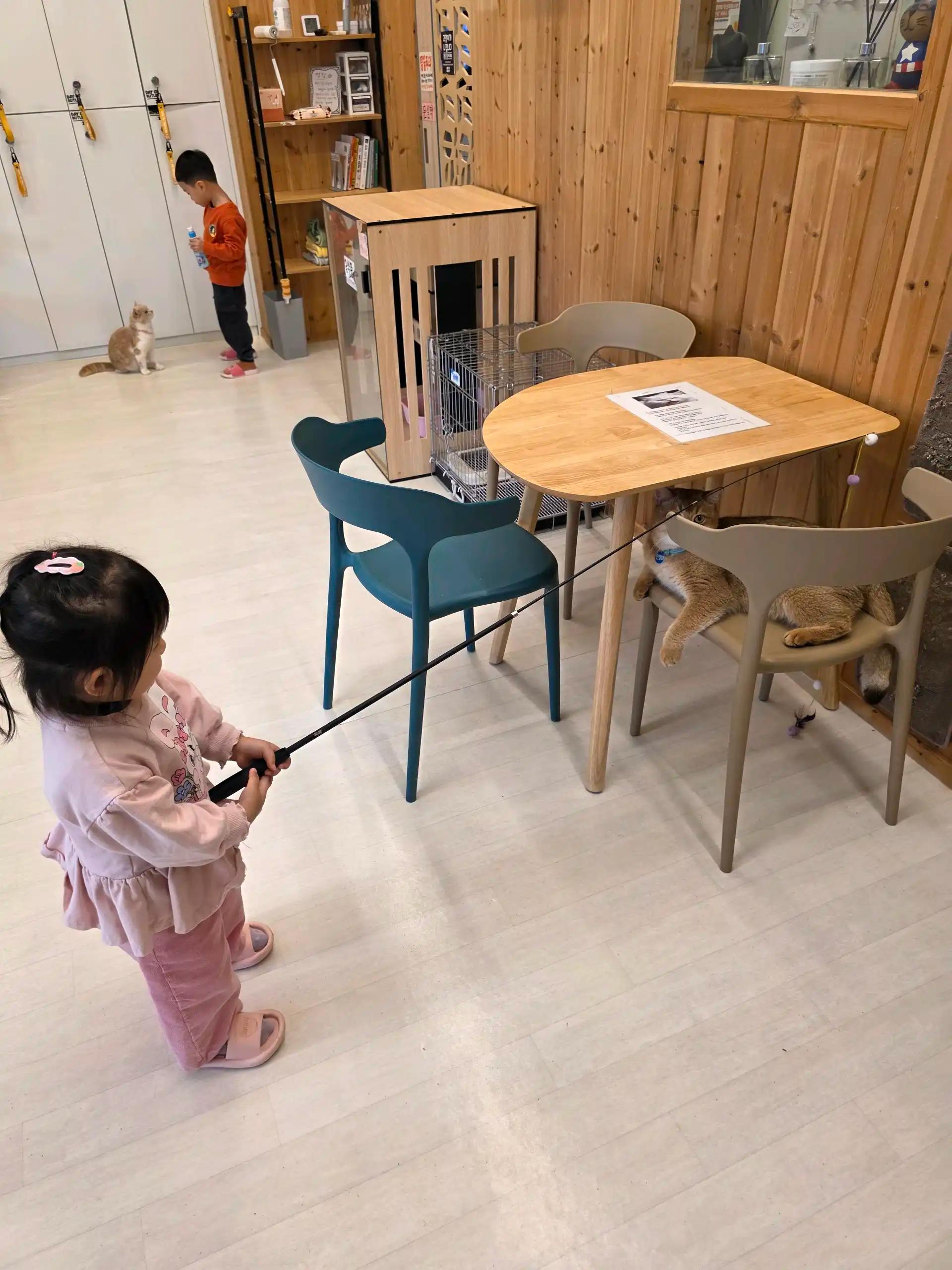 크루톡 이미지 4