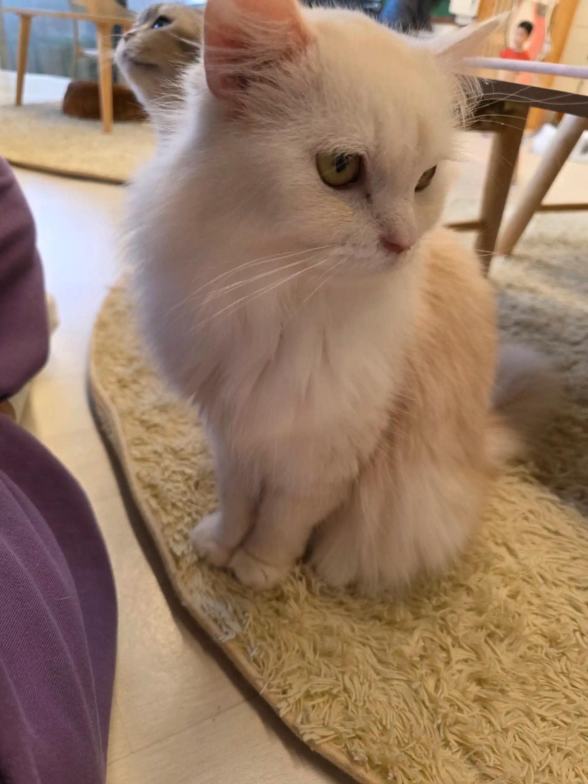 크루톡 이미지 5