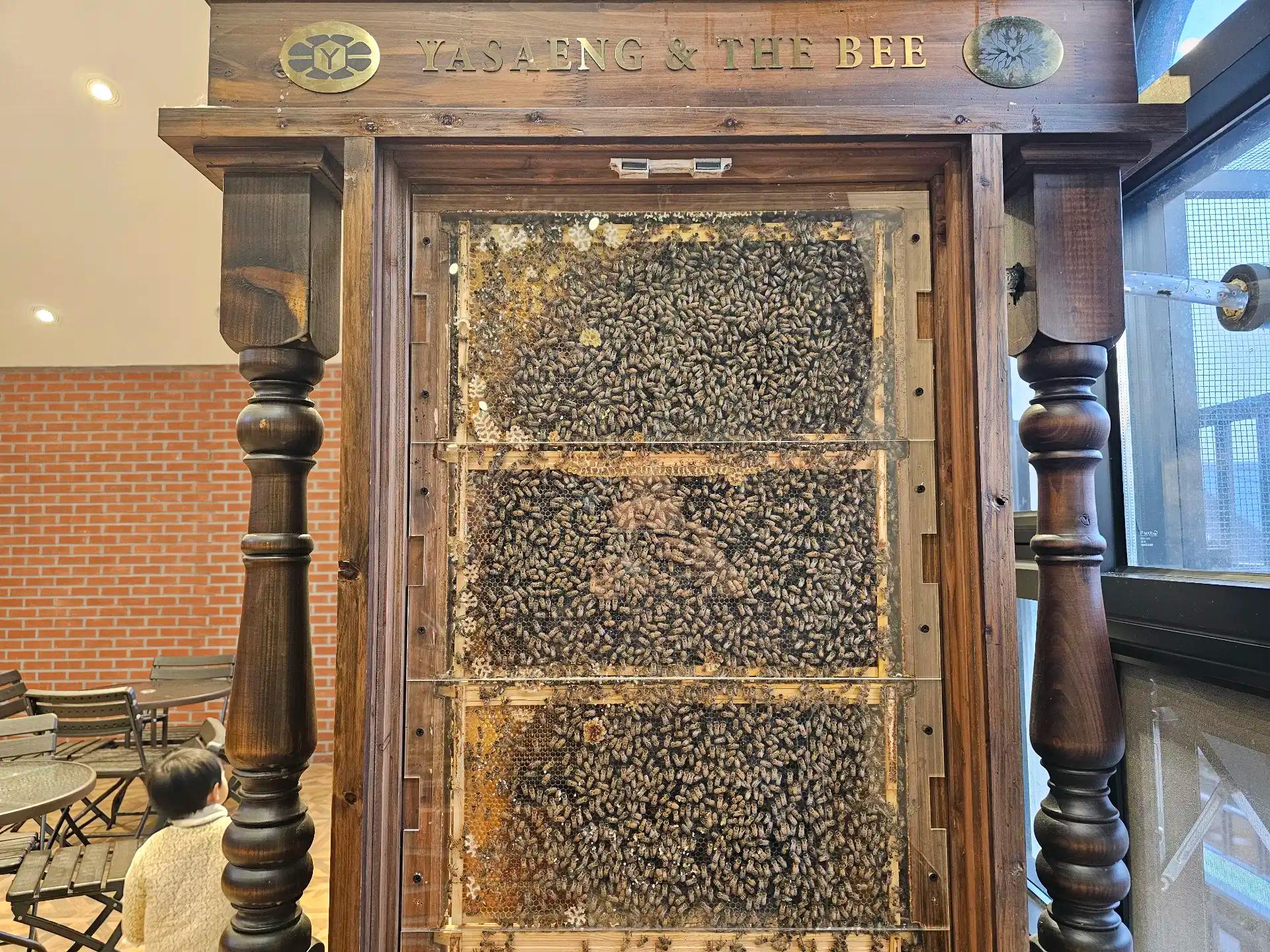 크루톡 이미지 4