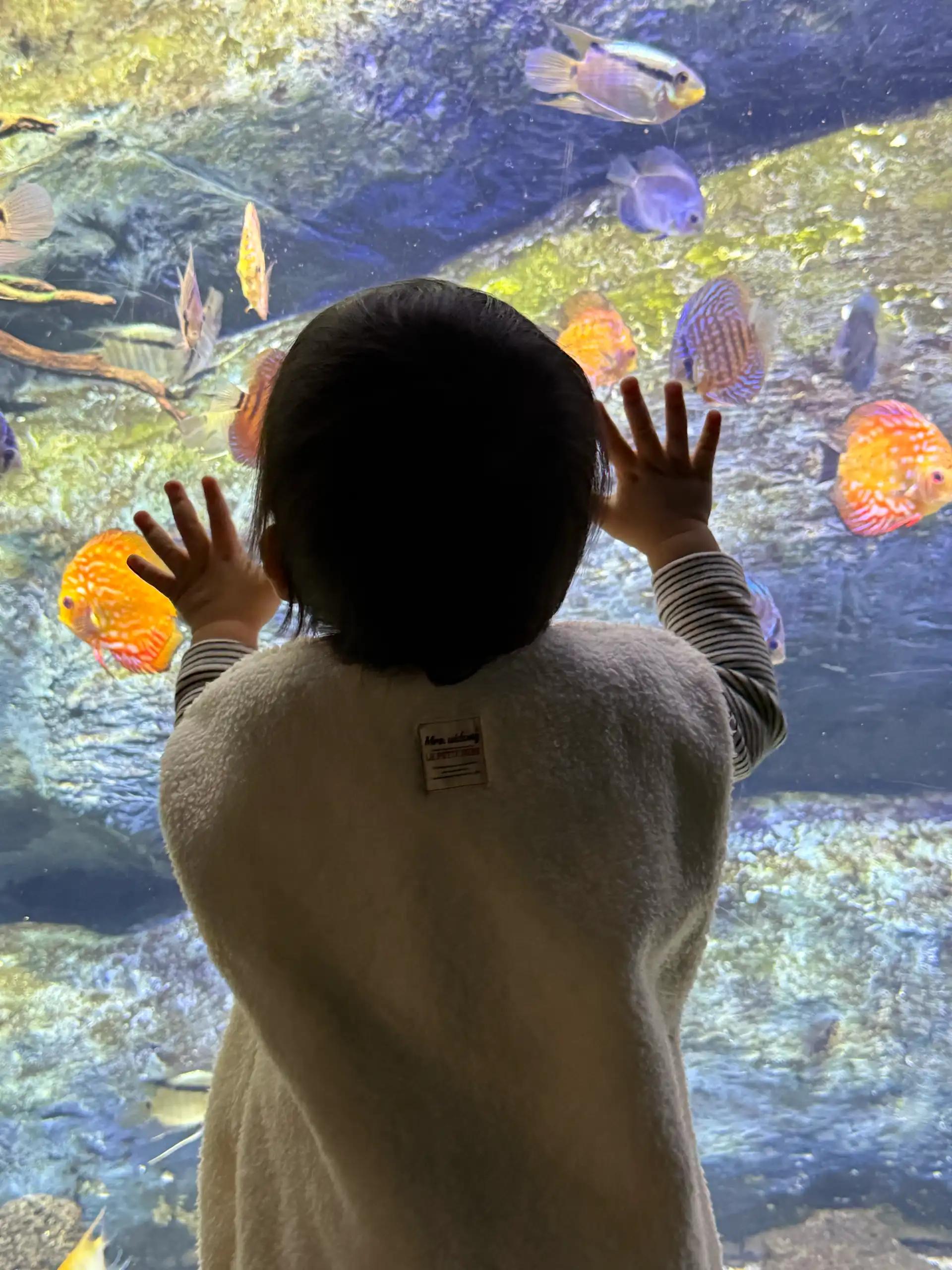 크루톡 이미지 2