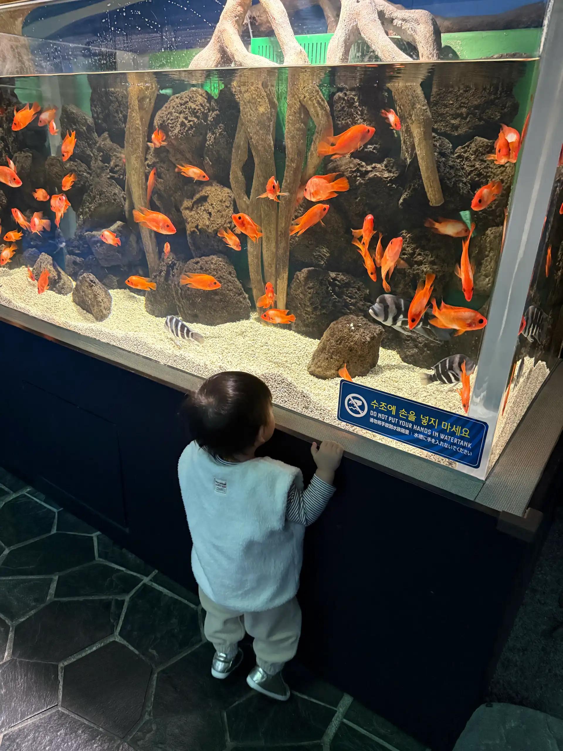 크루톡 이미지 3