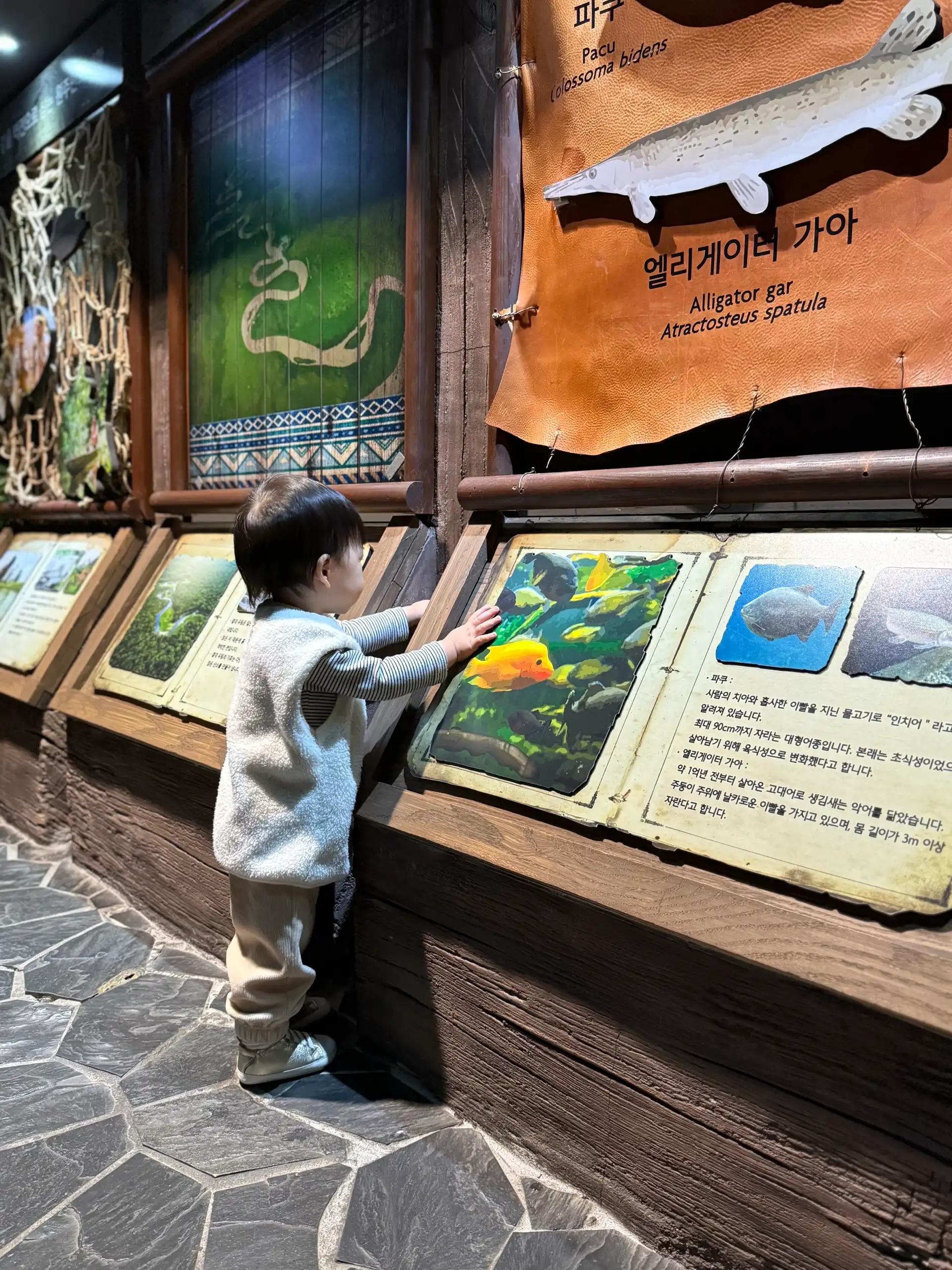 크루톡 이미지 4