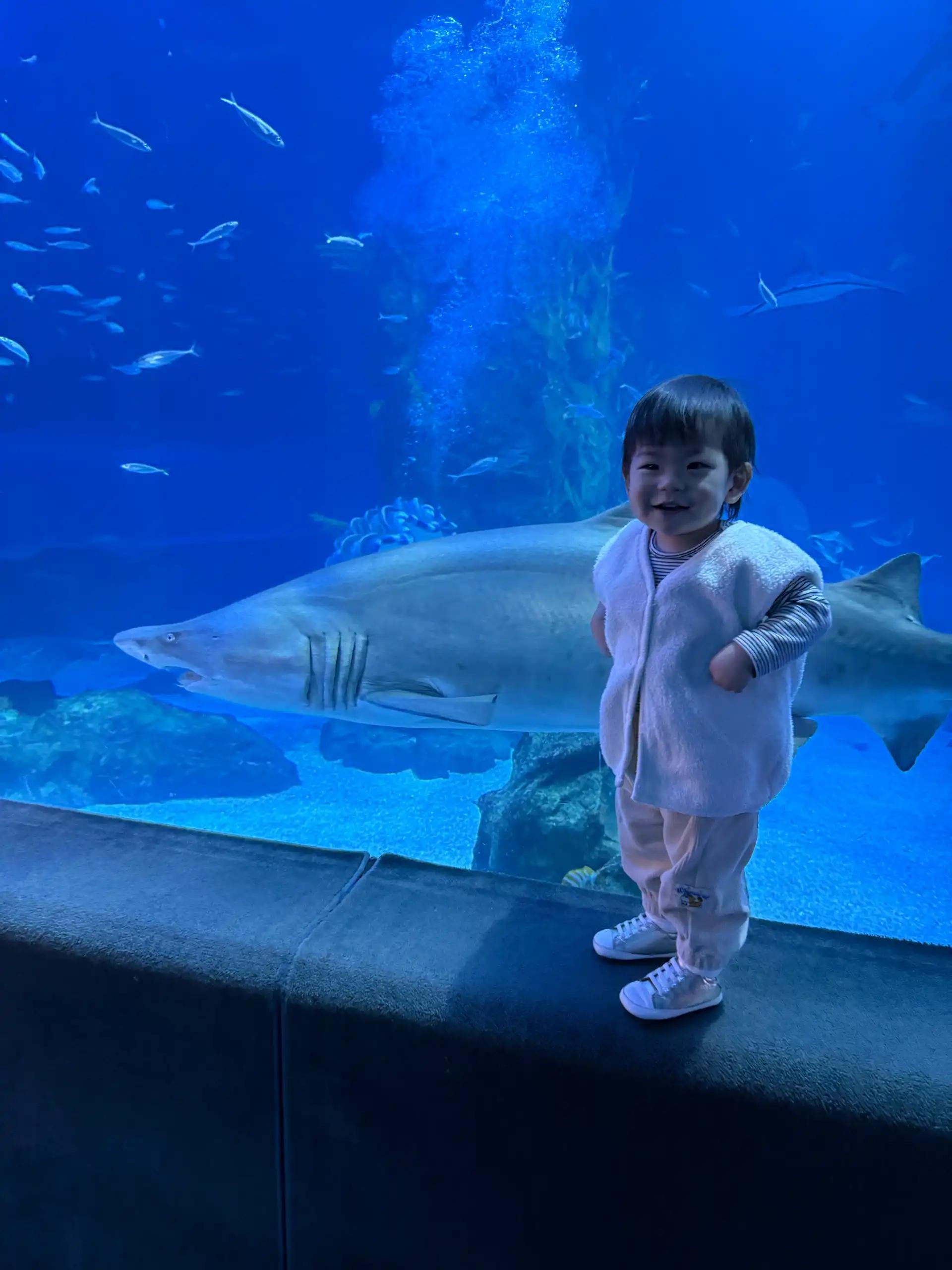 크루톡 이미지 9