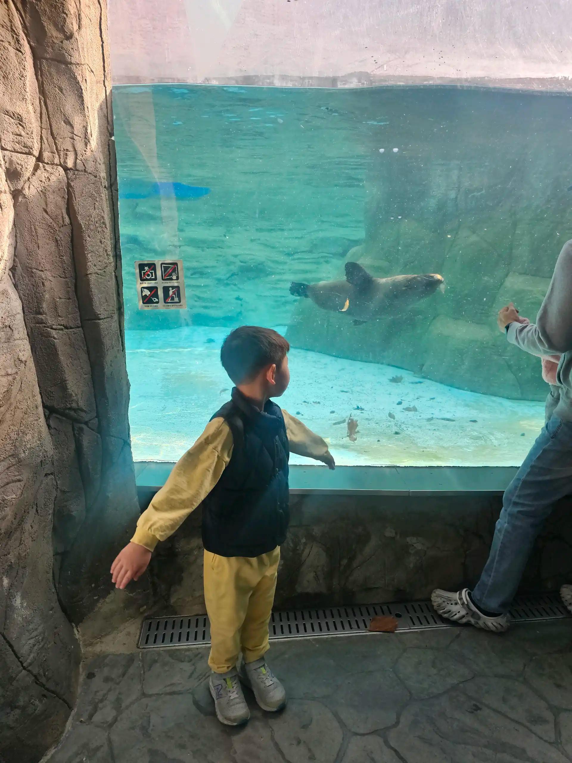 크루톡 이미지 8