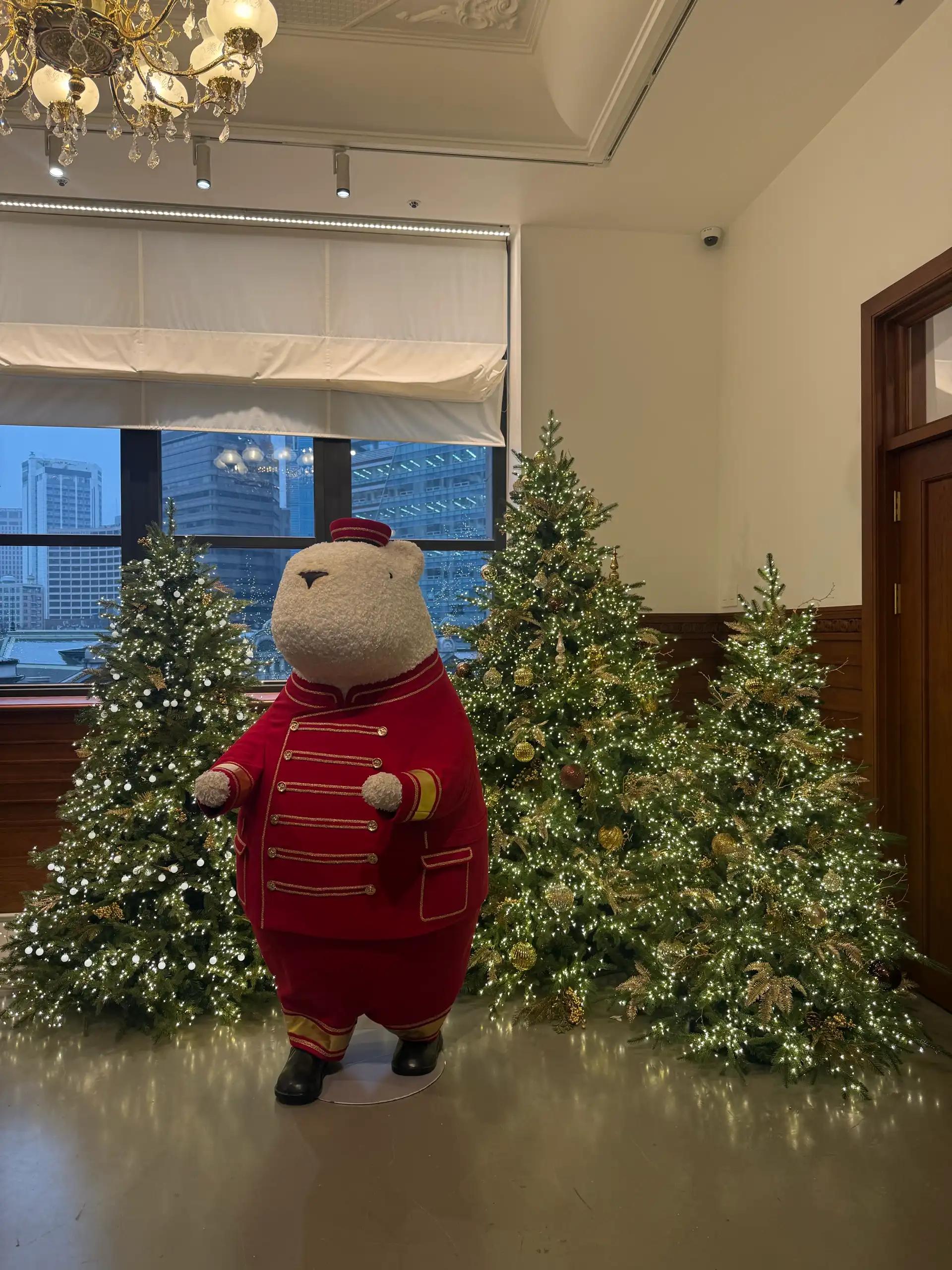 크루톡 이미지 6