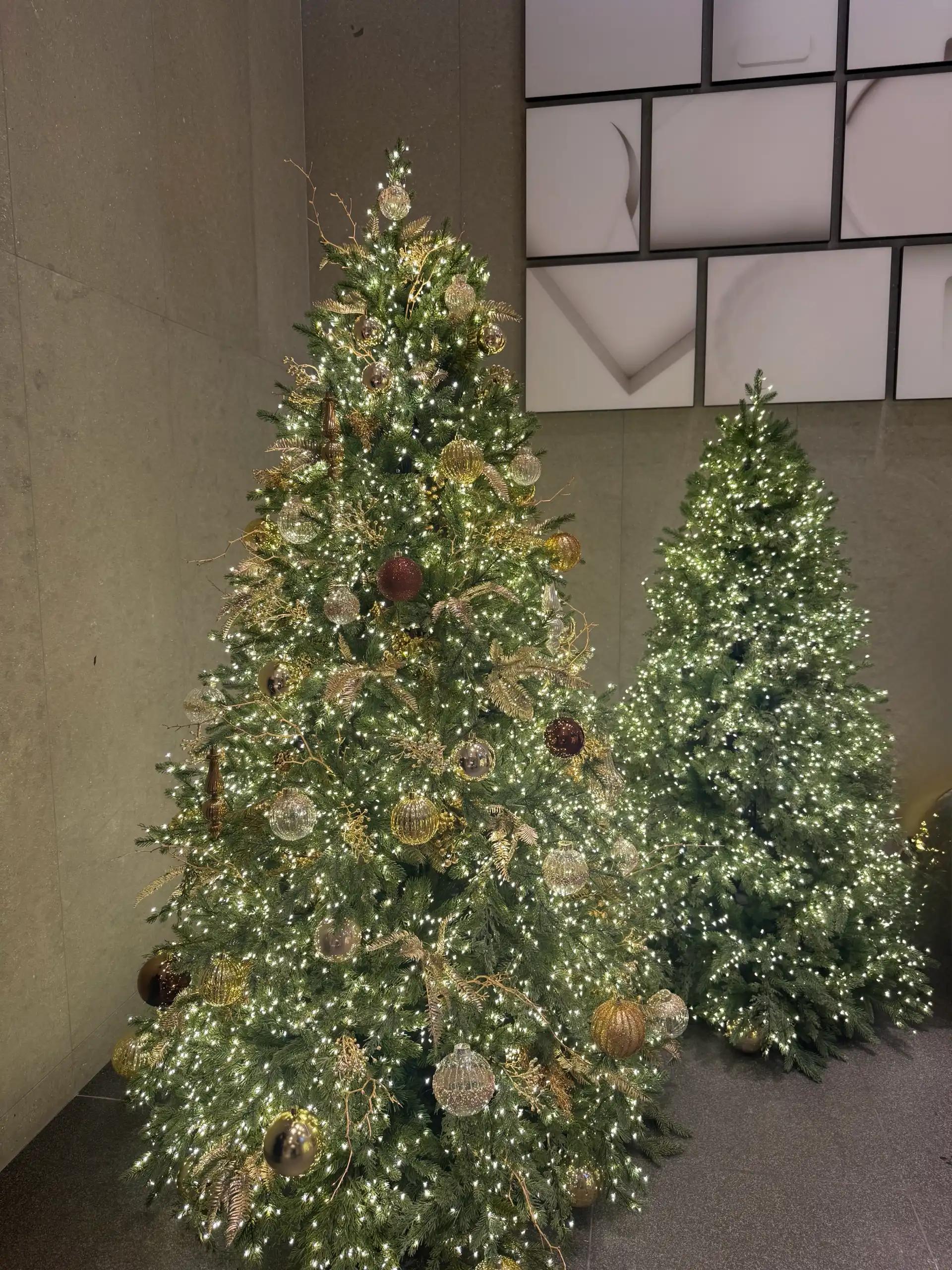 크루톡 이미지 7